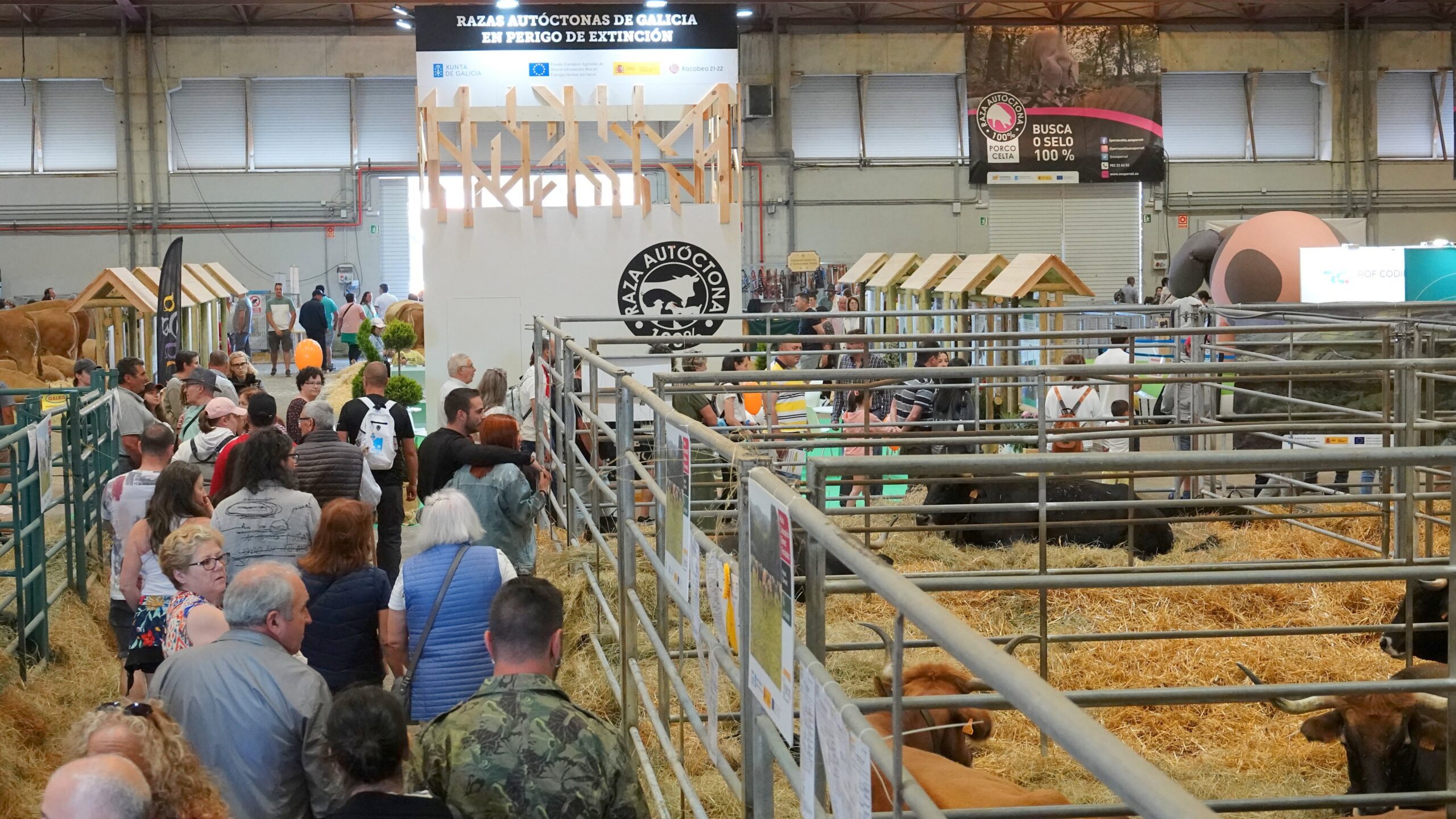 Vista pavillón gandería Abanca Semana Verde 2024