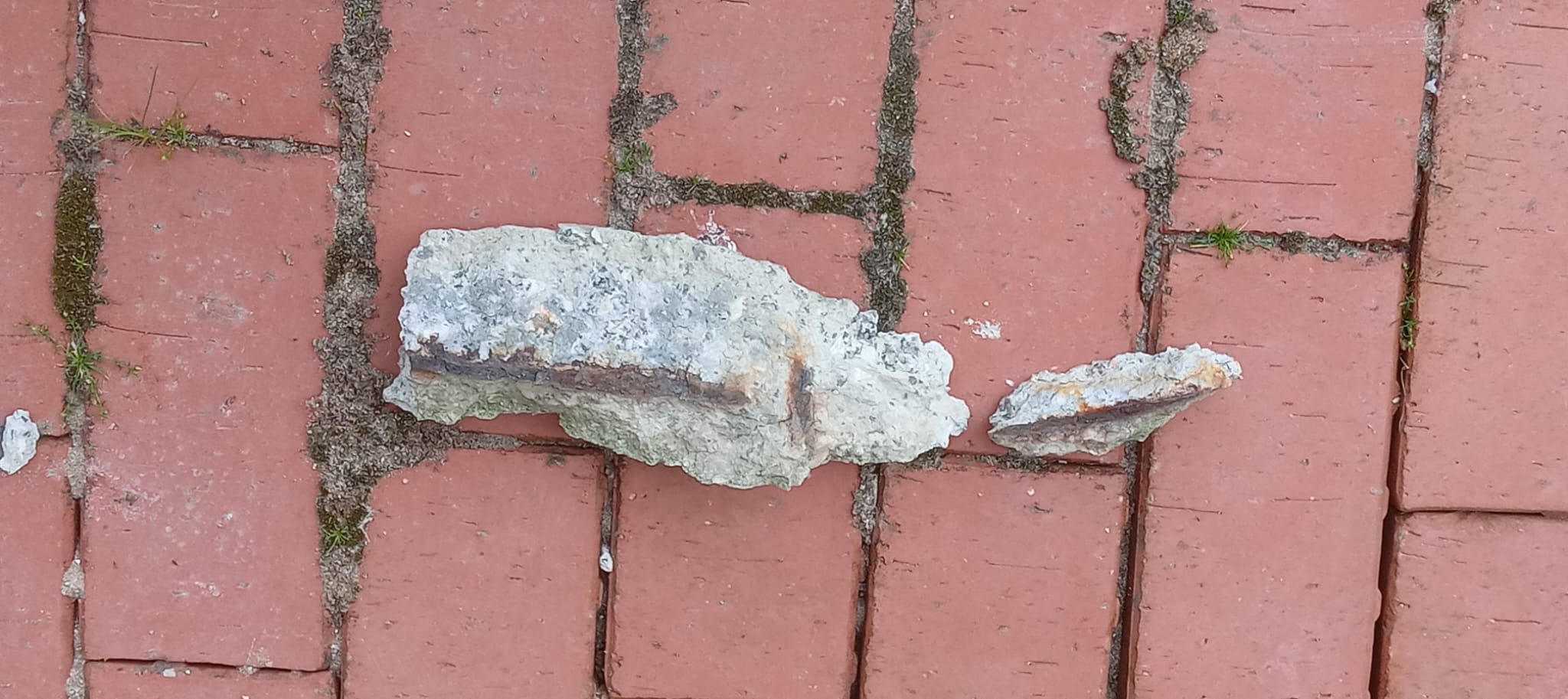 WhatsApp Image 2025-06-02 at 10.10.46