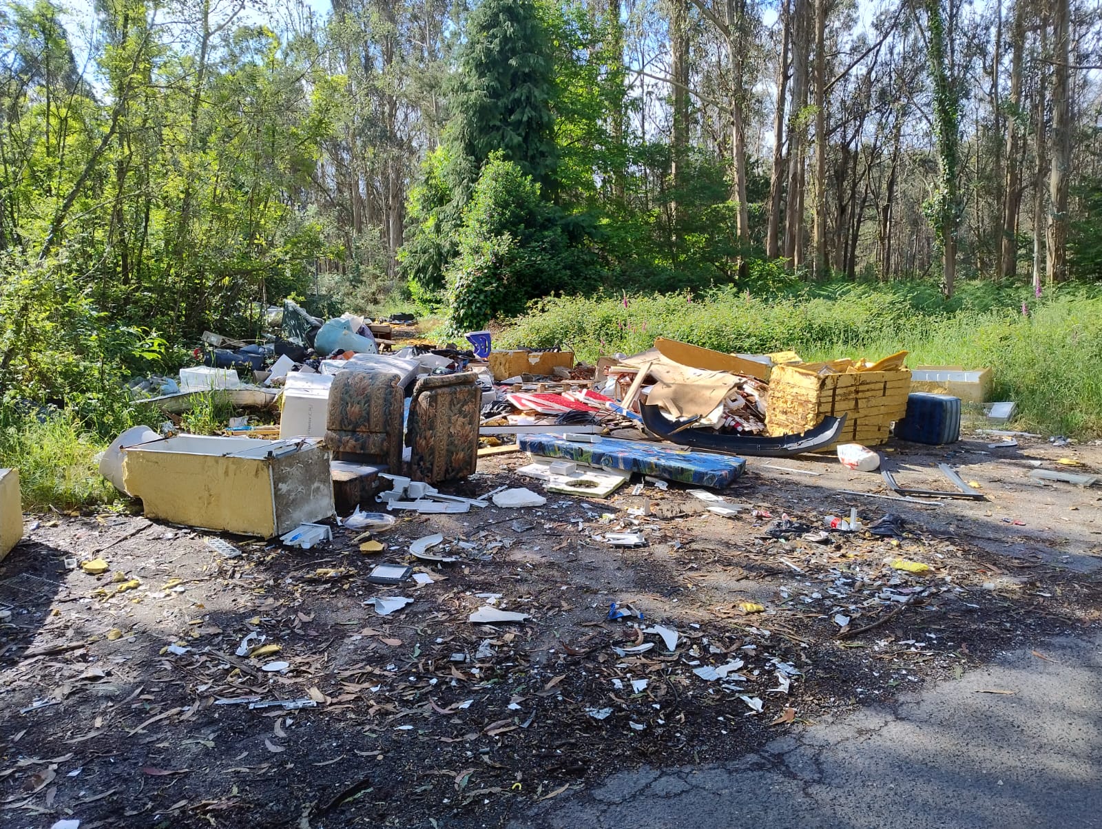 WhatsApp Image 2025-06-11 at 08.52.32