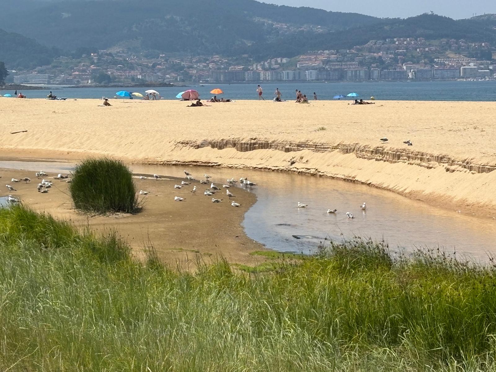 ZONA_Enil_Cans (2) (1)