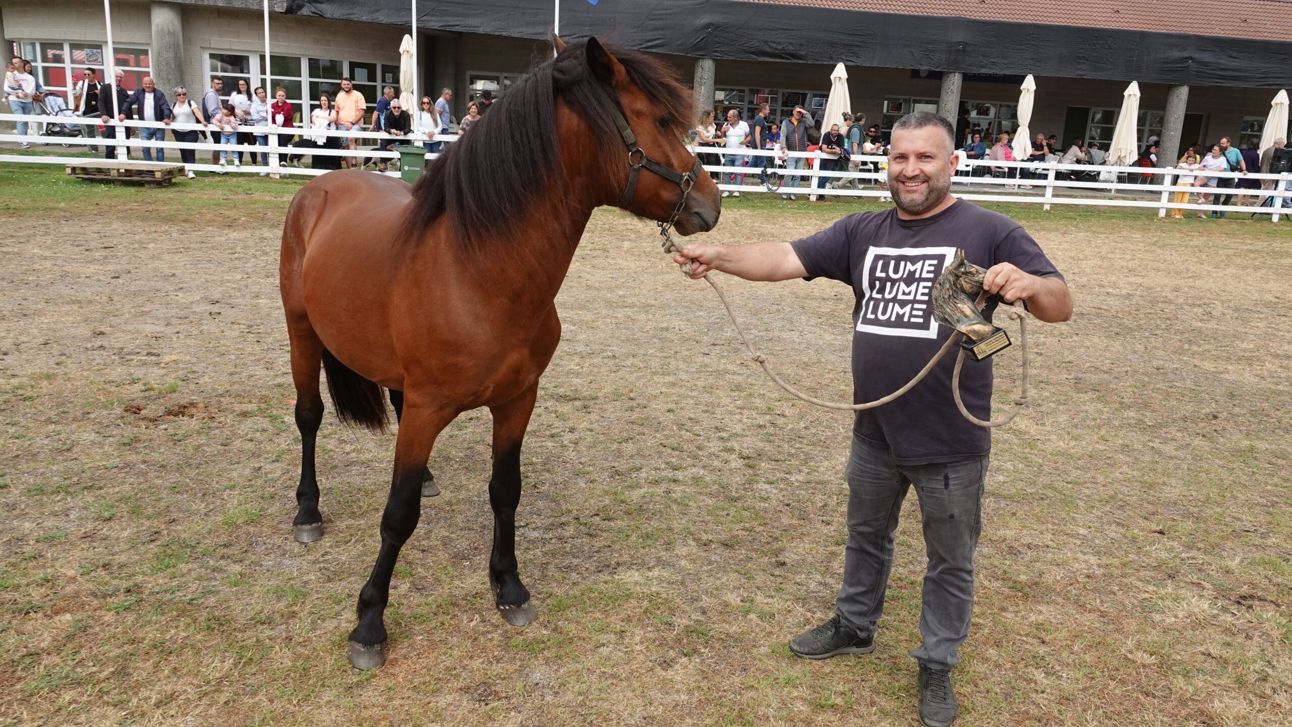 gañador sementais cabalo galego en Semana Verde DSC06267