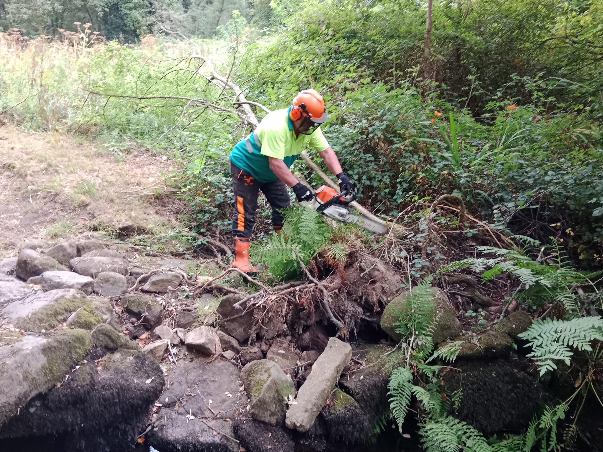 20250714 TraballosConservacionTomeza (1)