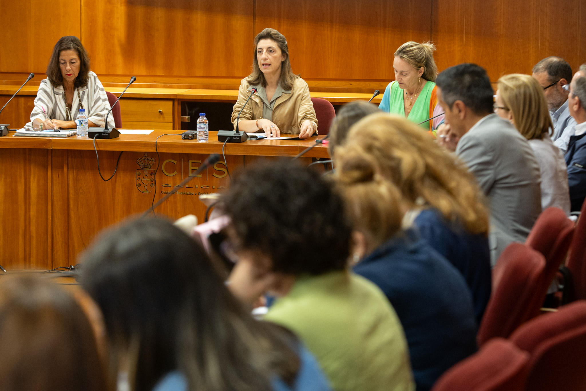 20250723 AVMCogamads