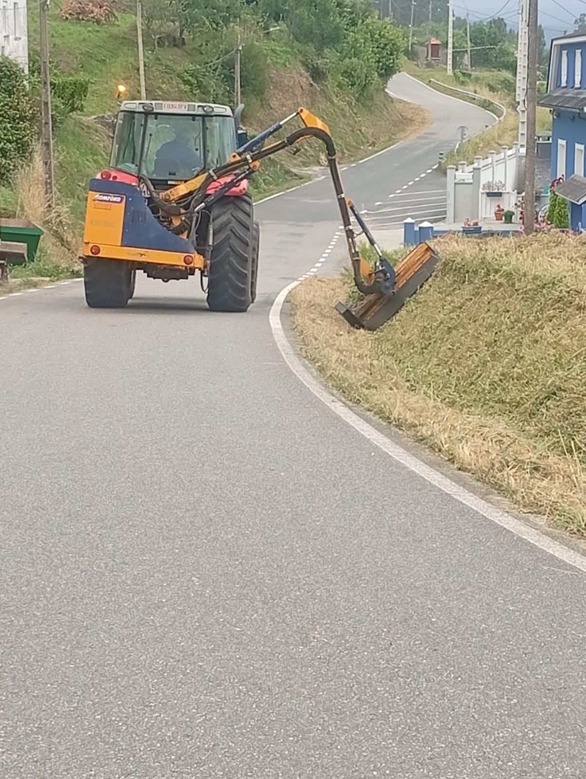 CARIÑO – DESBROCES 2