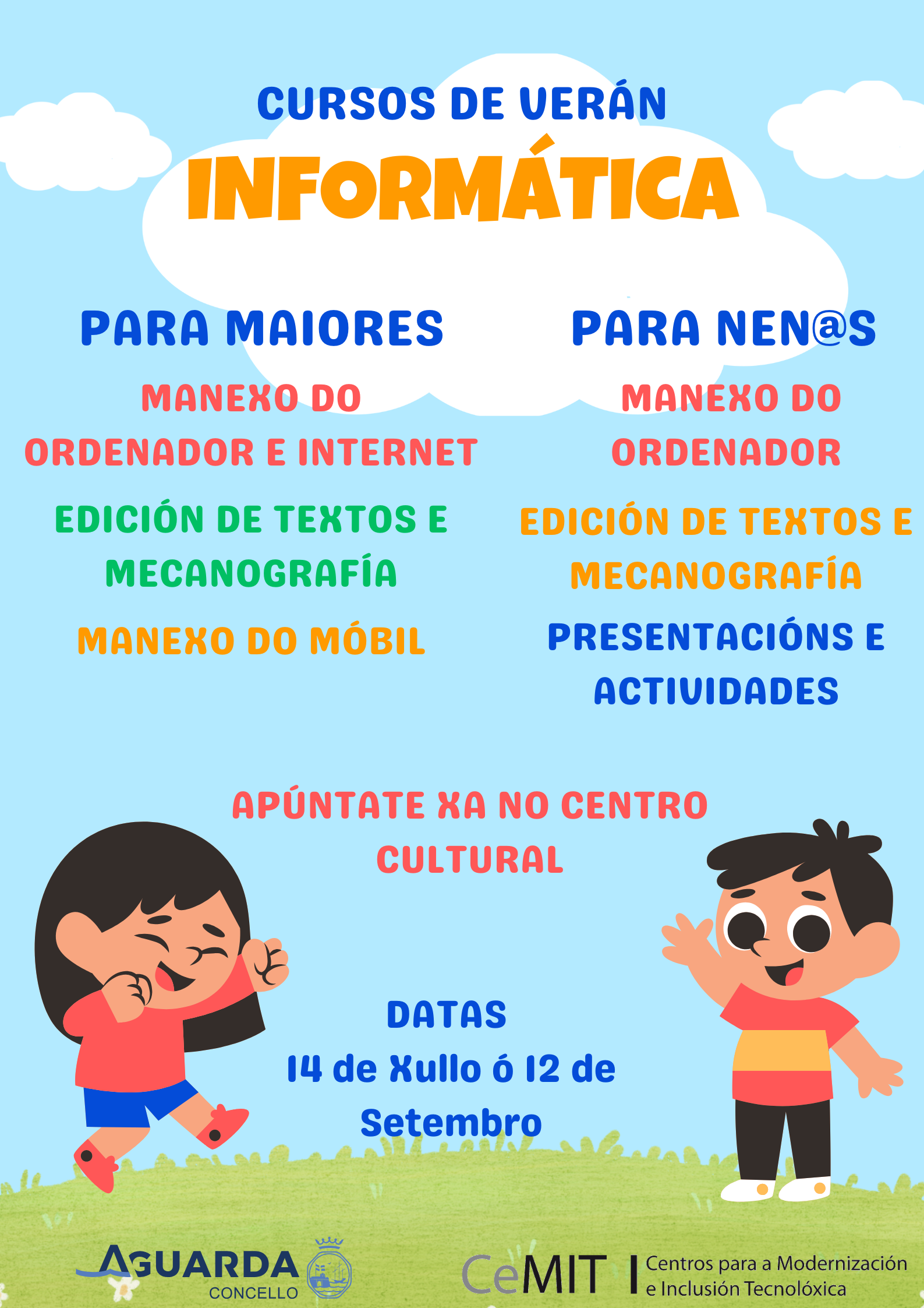 CURSOS INFORMATICA CARTEL