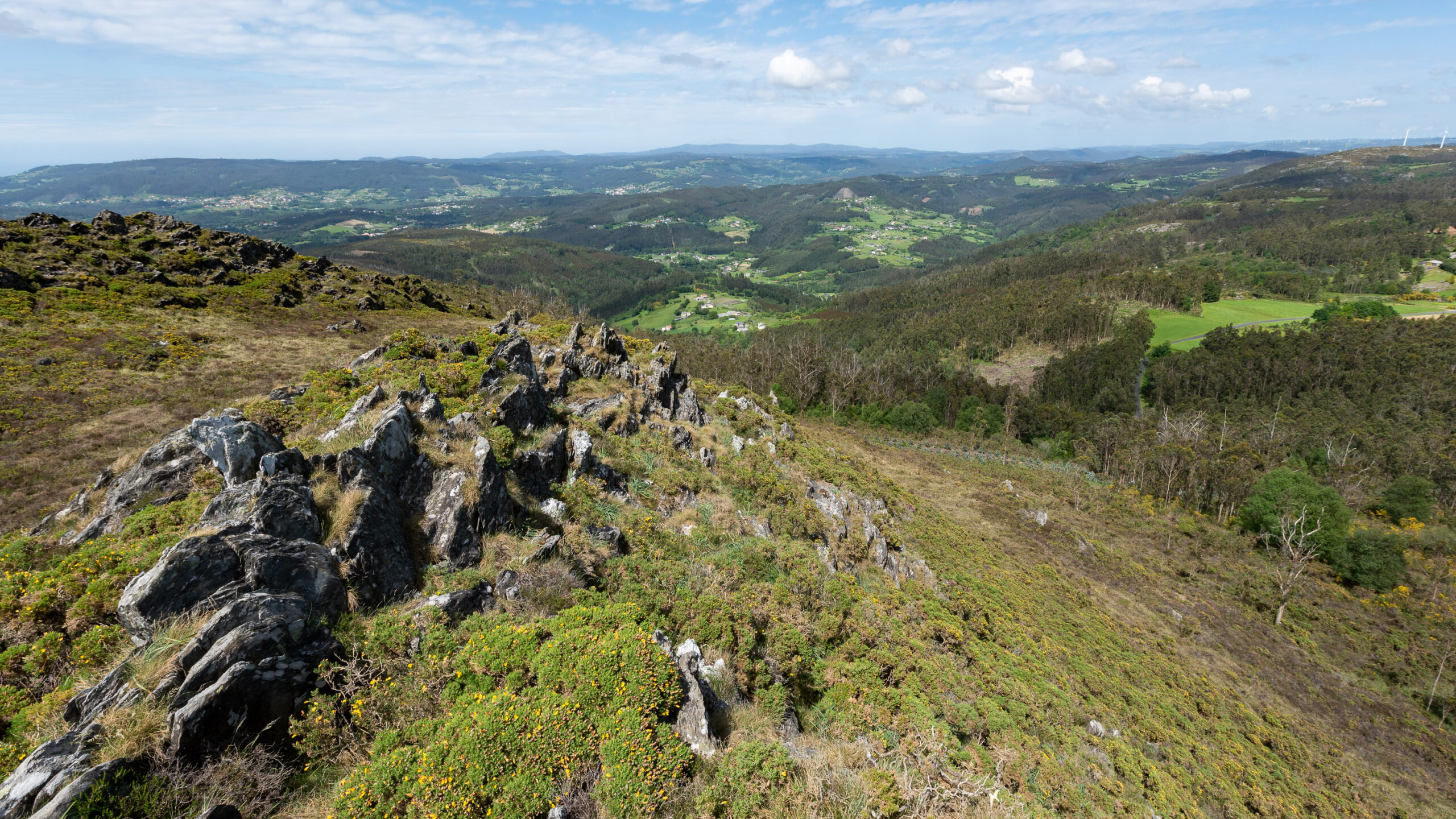 DSC01082_Fixed Width_3000x1687_H_120