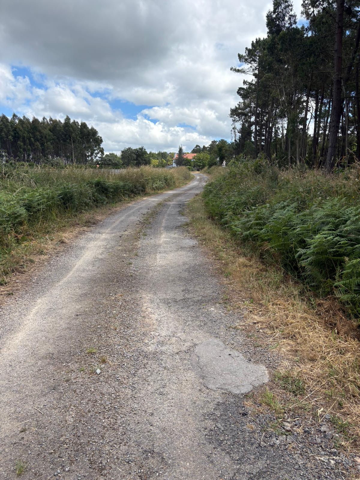 FOTO PONTECESO- Ameixenda 4