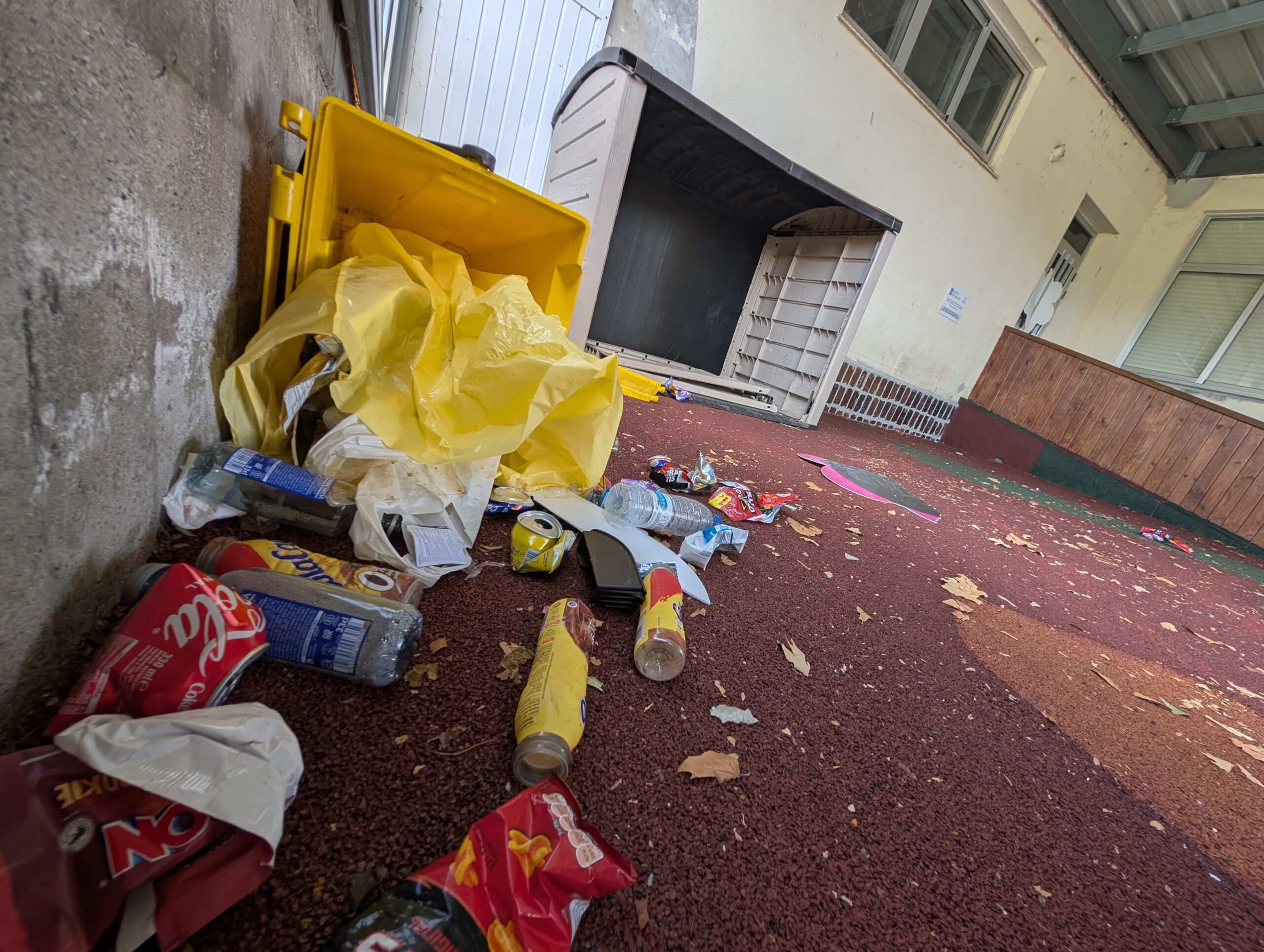 PXL_20250731_094126709