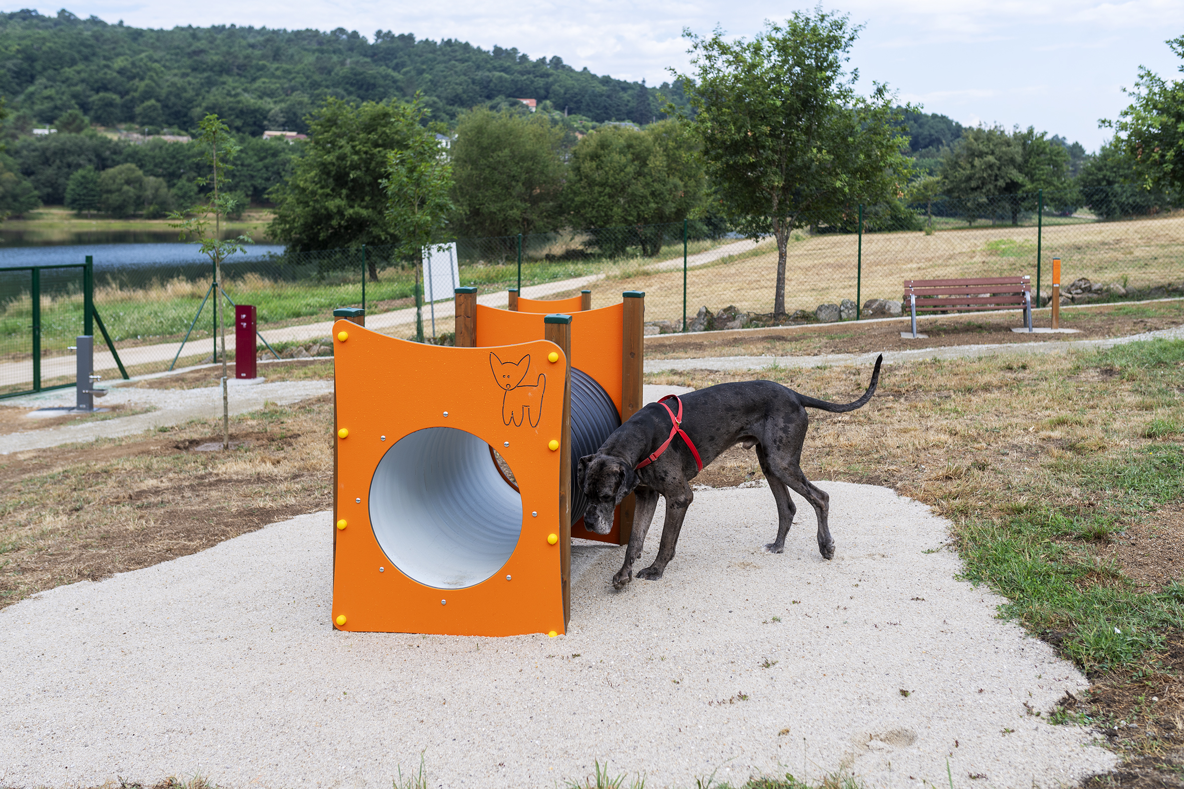 Parque canino no encoro de Cachamuuña (Pereiro de Aguiar).