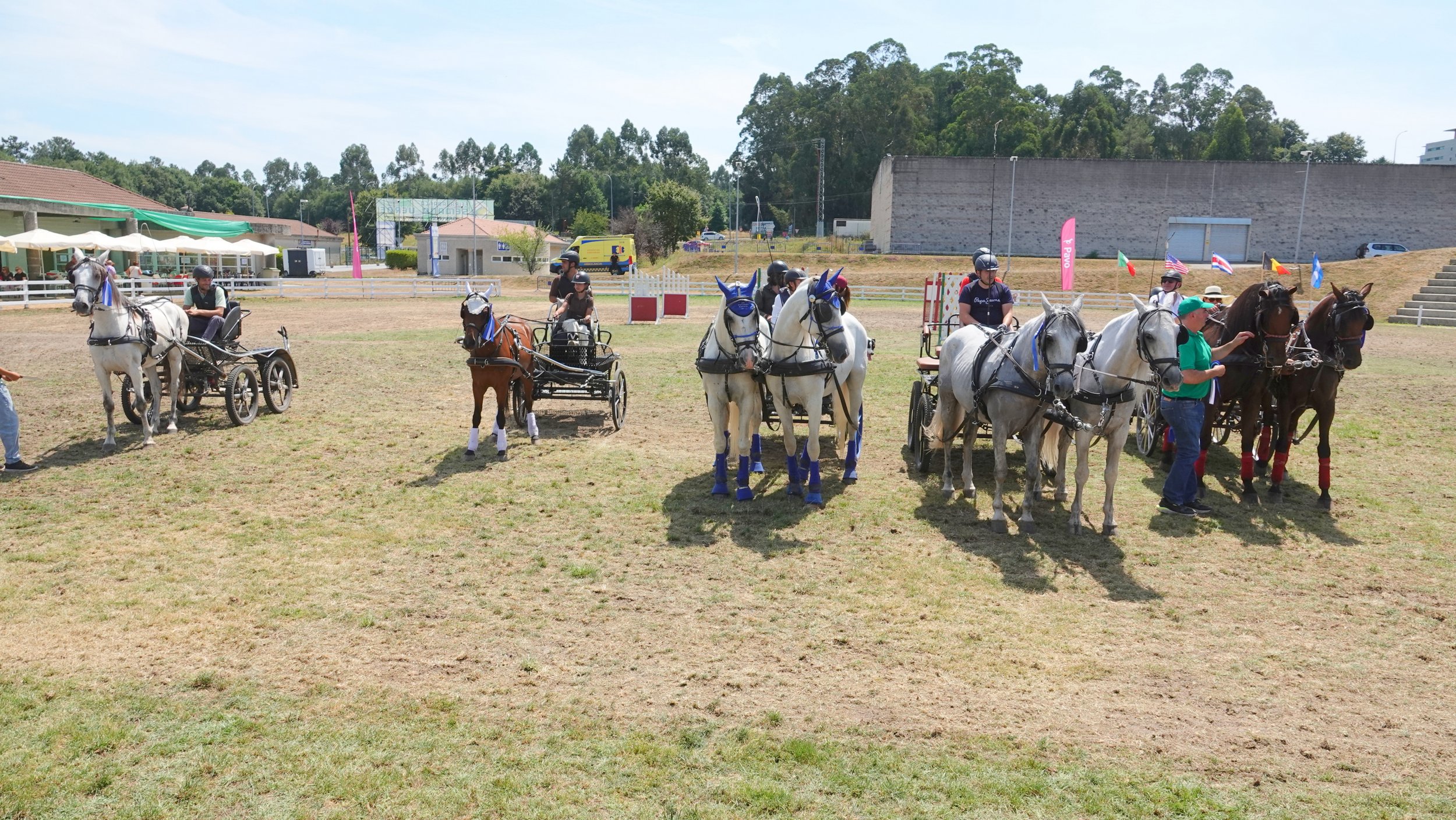 Premiados Concurso de Enganches Equina 2024.