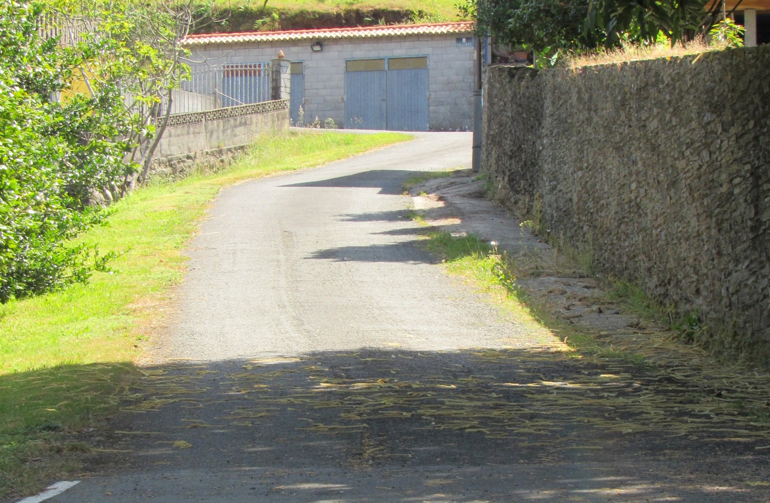 Remate do Camiño Liñares-Galanos