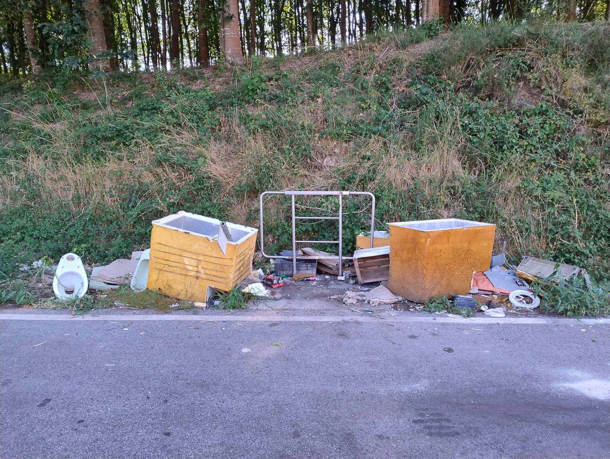 WhatsApp Image 2025-07-10 at 10.51.01