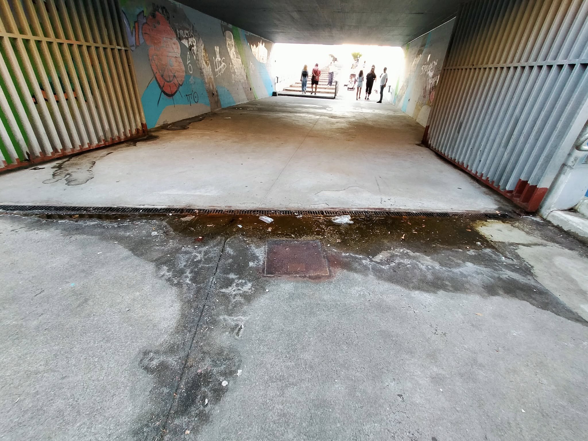 536000502_10230830136078248_4448630117101288708_n