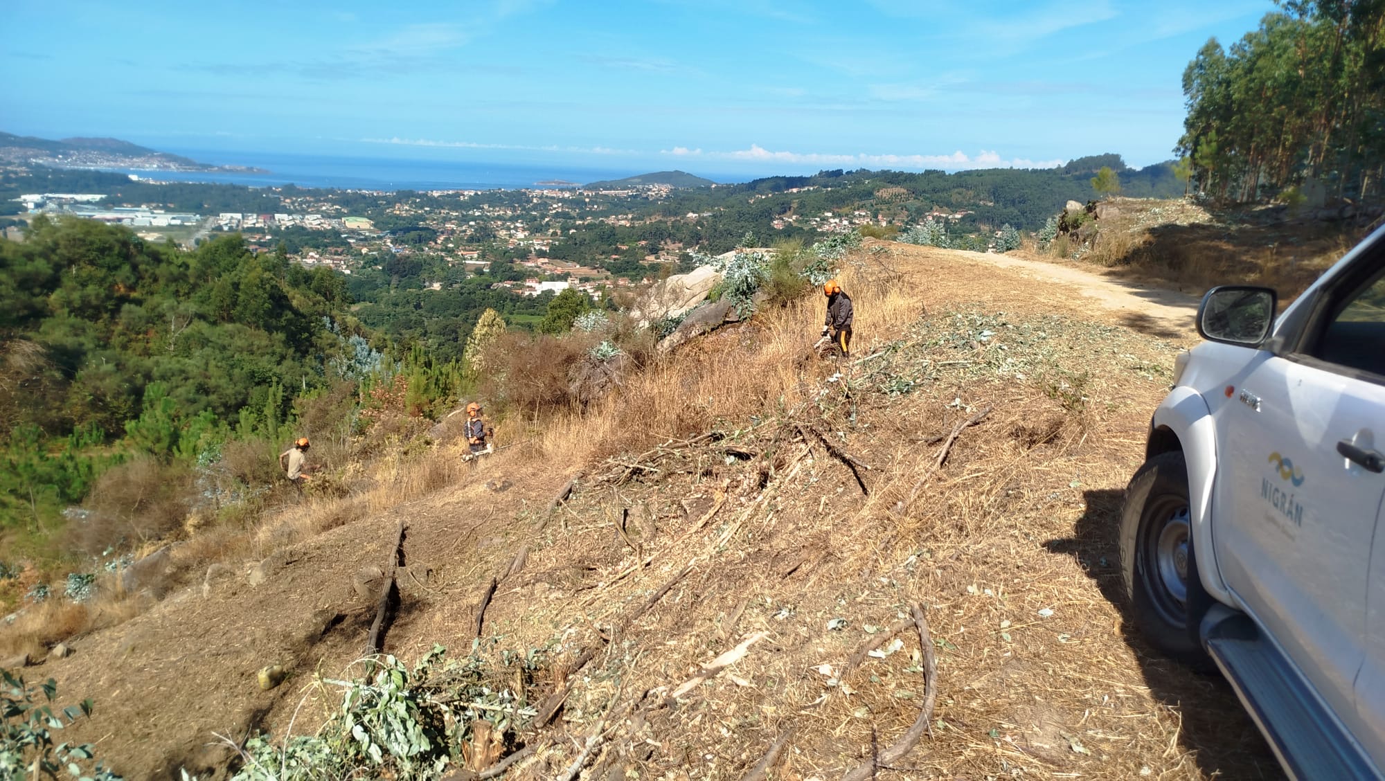 78d675c8-e0d4-4b61-9348-536196a61538