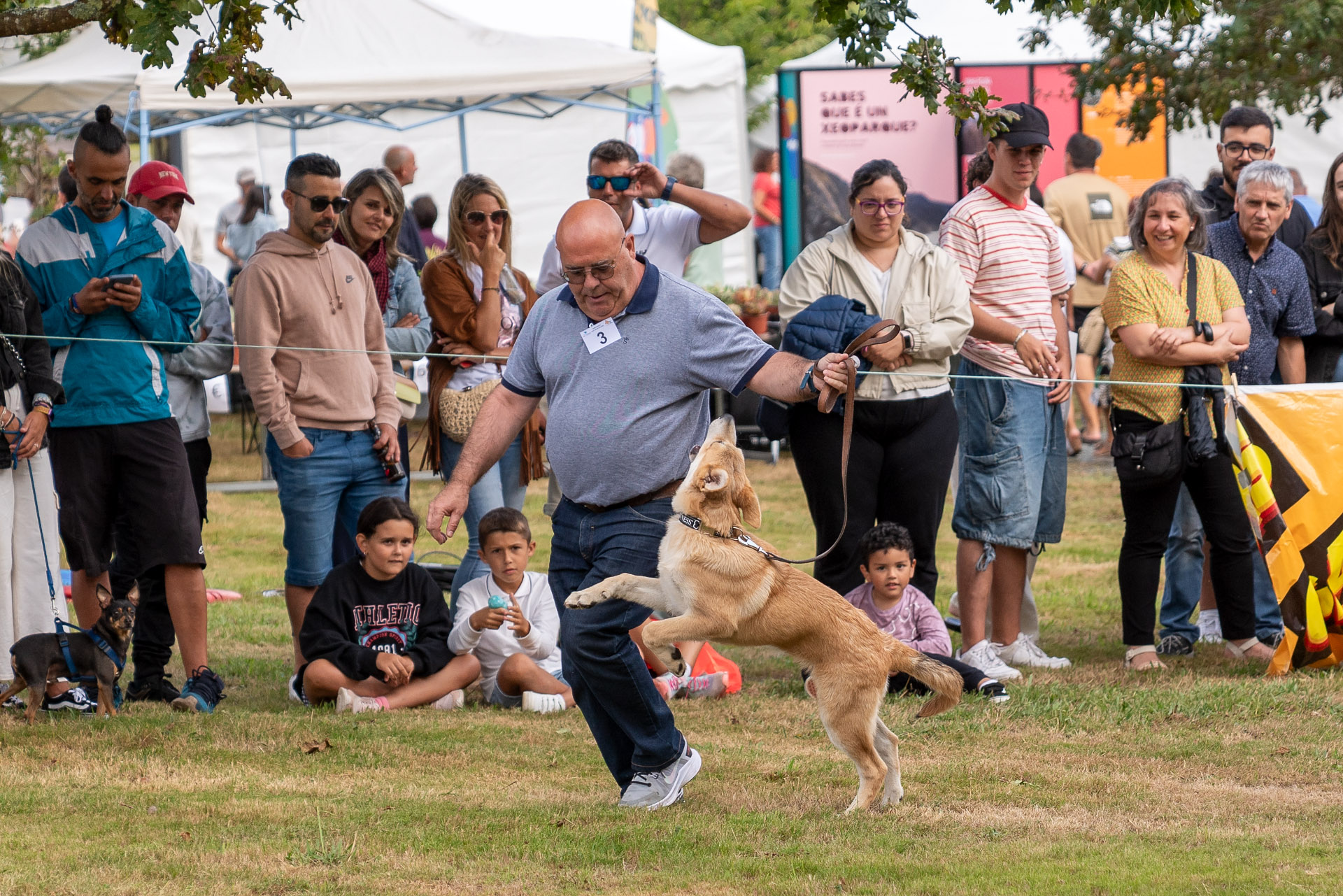 _DSC2962_Original ratio_1920x1281_H_90