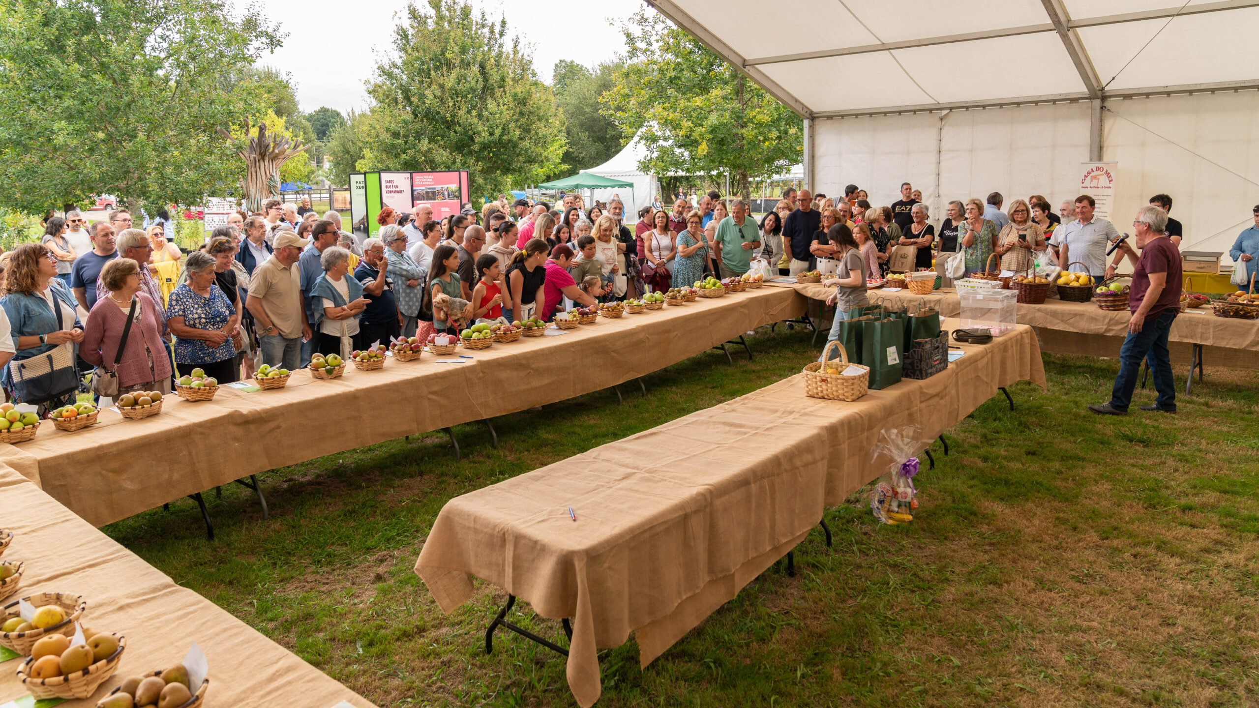 _DSC3419_3000x1688_H_116_Original ratio