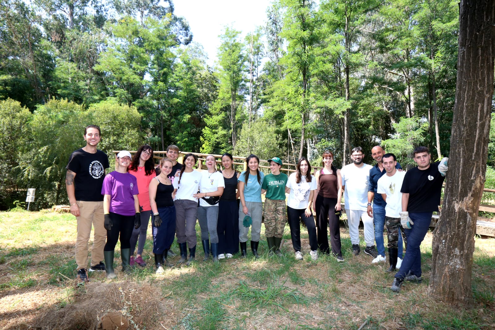 NP CAMPO VOLUNTARIADO INTERNACIONAL