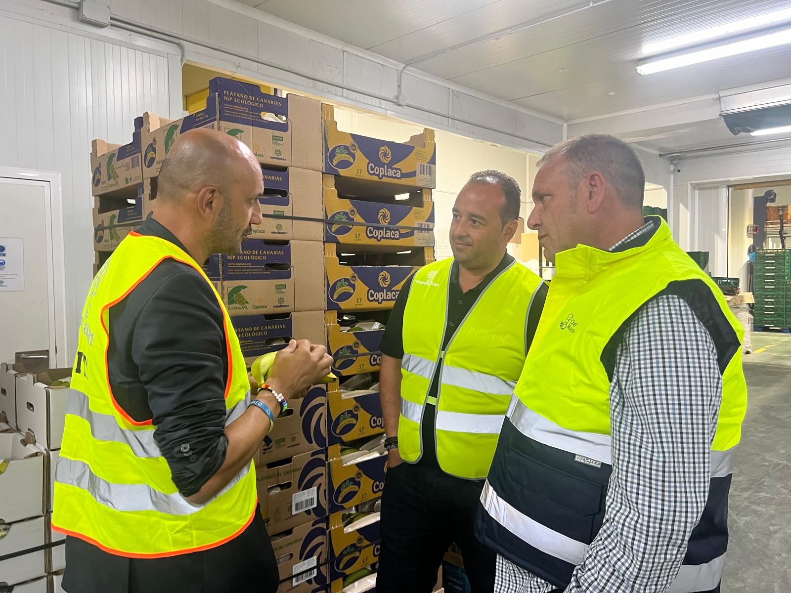 WhatsApp Image 2025-08-05 at 17.00.50-4