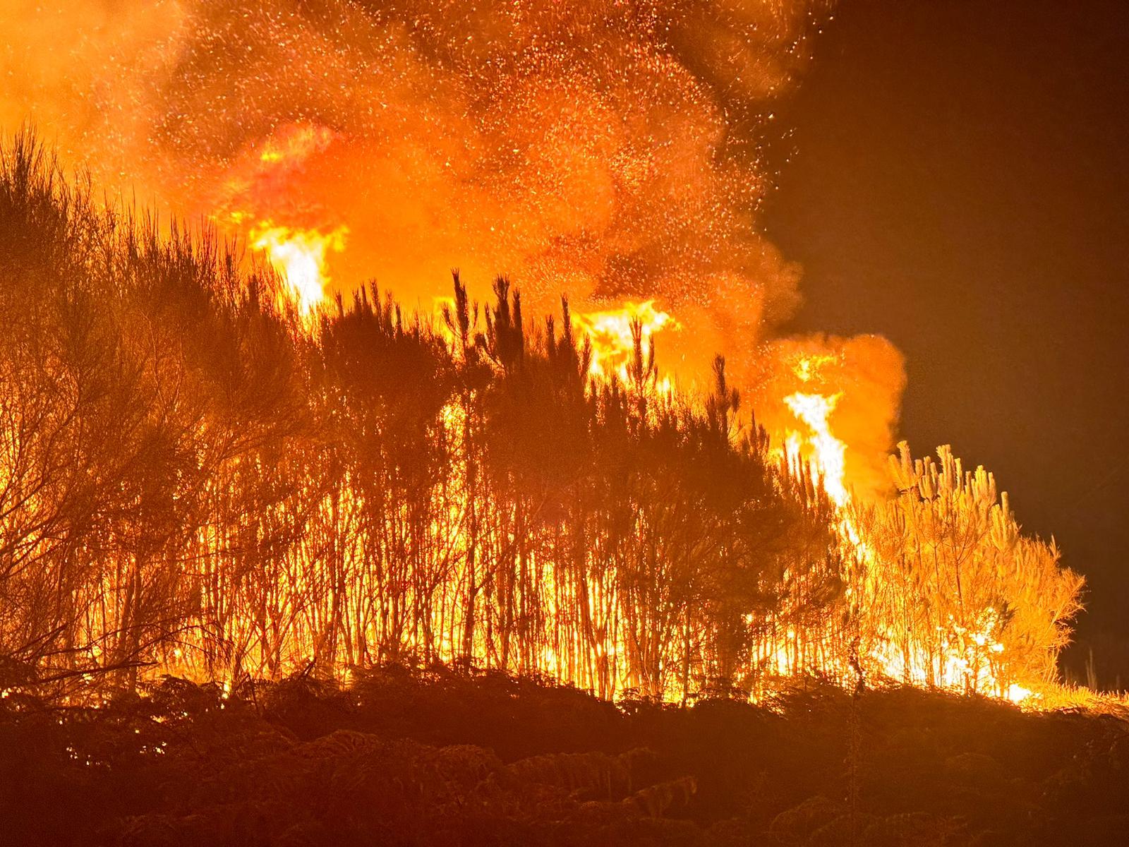 WhatsApp Image 2025-08-18 at 13.11.17-2