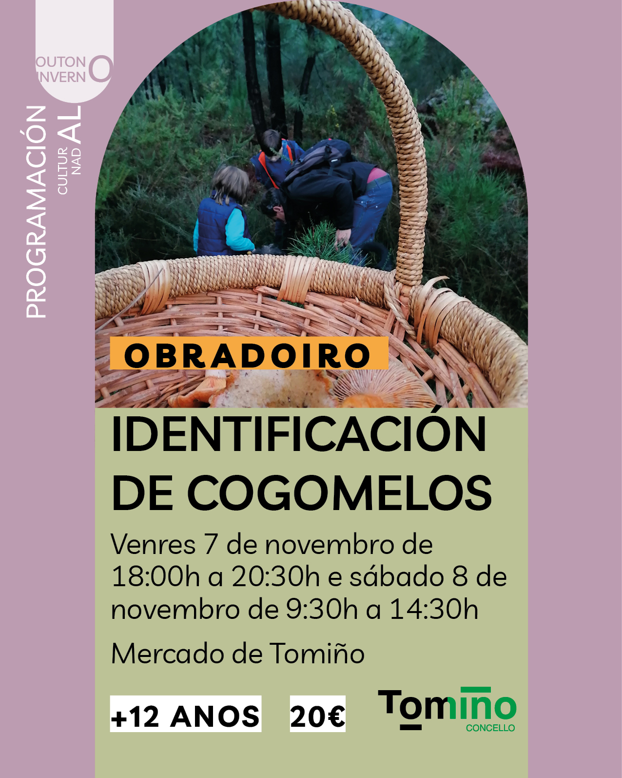 A OMIX de Tomiño descobre os segredos dos cogomelos silvestres