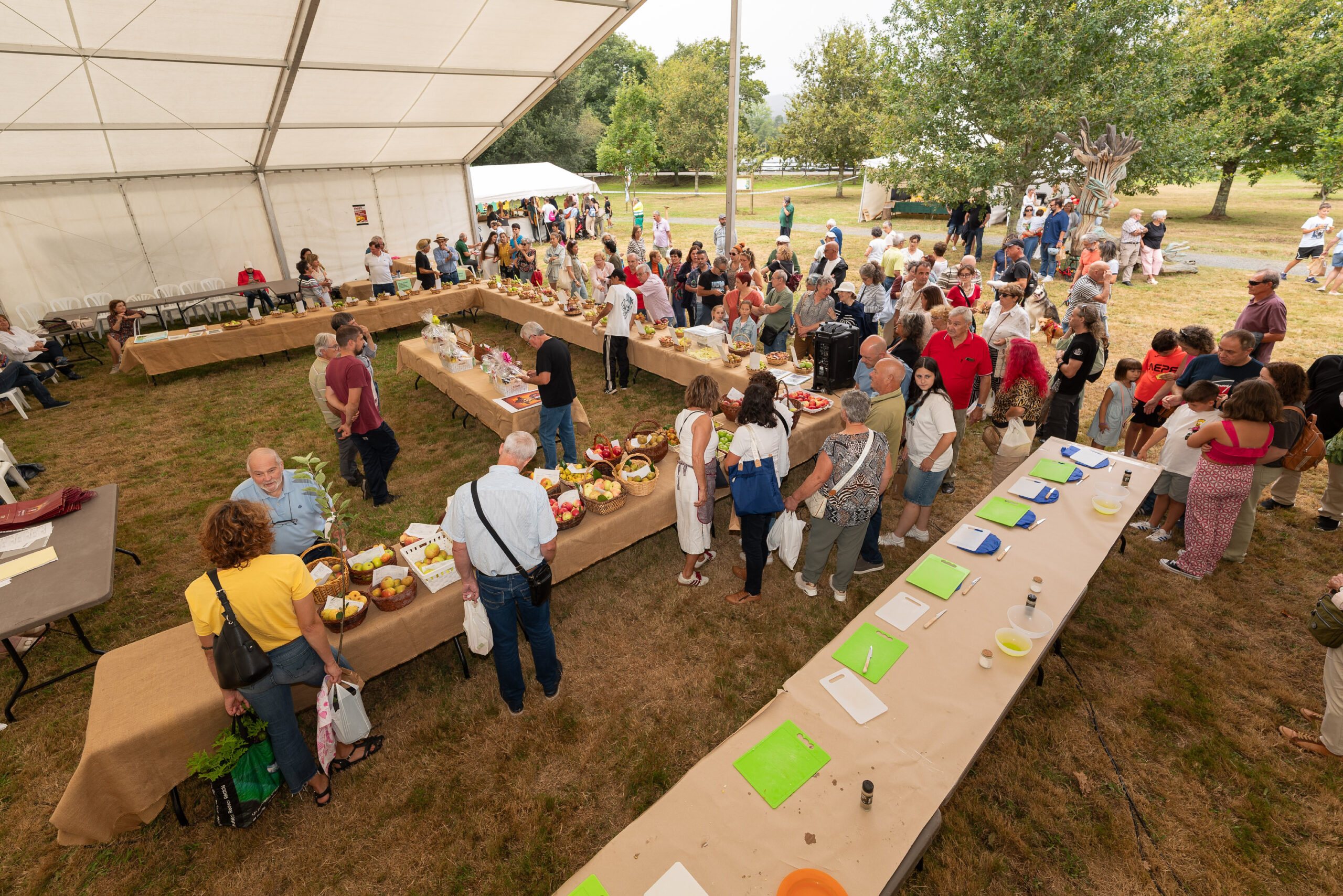 _DSC0105_Fixed Width_3000x2001_H_210