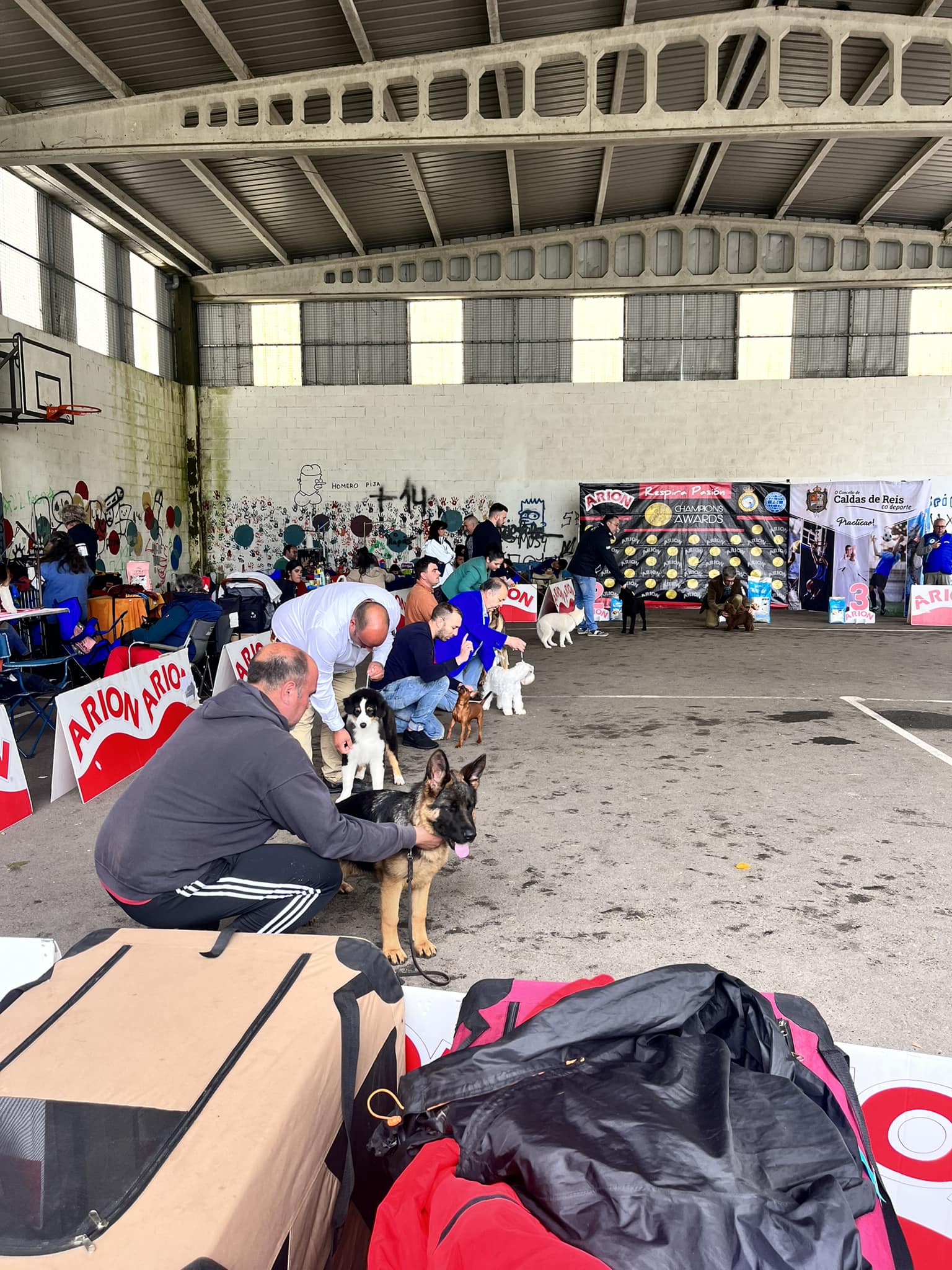 Evento canino arquivo