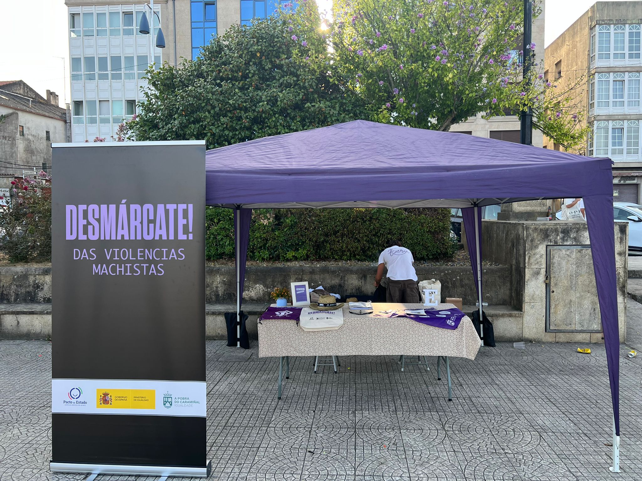 FOTO A POBRA- Espazo violeta