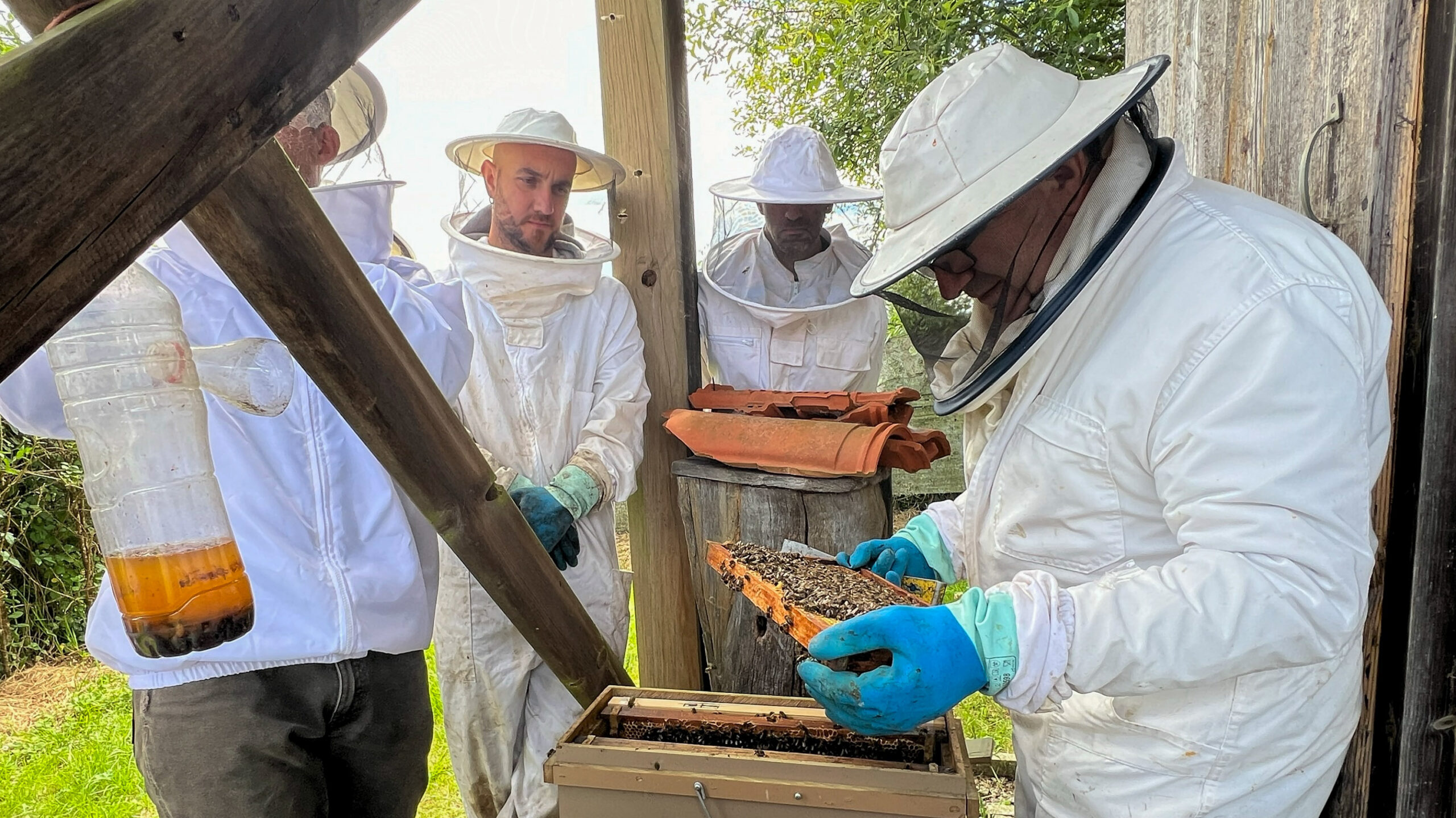 IMG_0535_Fixed Width_3000x1688_H_210