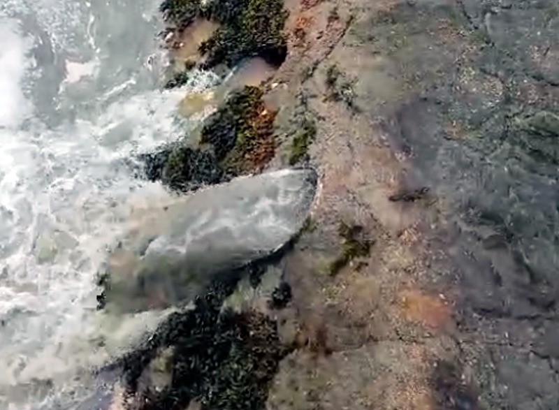 Imagen de WhatsApp 2025-09-18 a las 10.19.23_80ec29d7