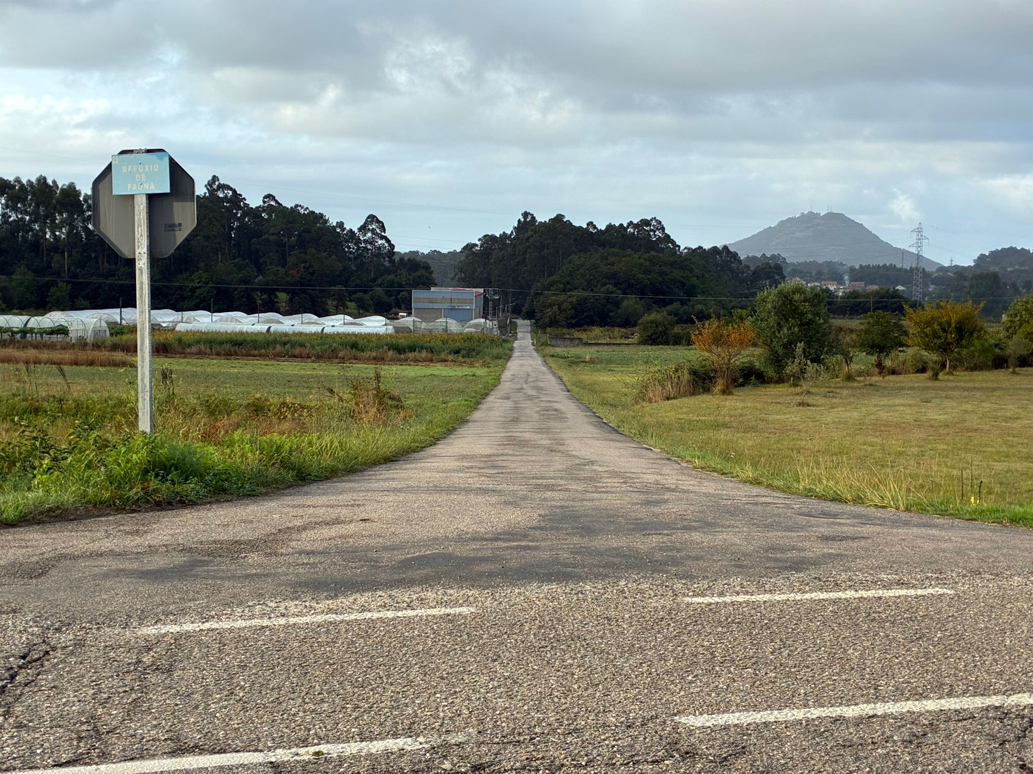 O Rosal continuìa coa renovacioìn dos seus caminÞos para facilitar a mobilidade no rural 02