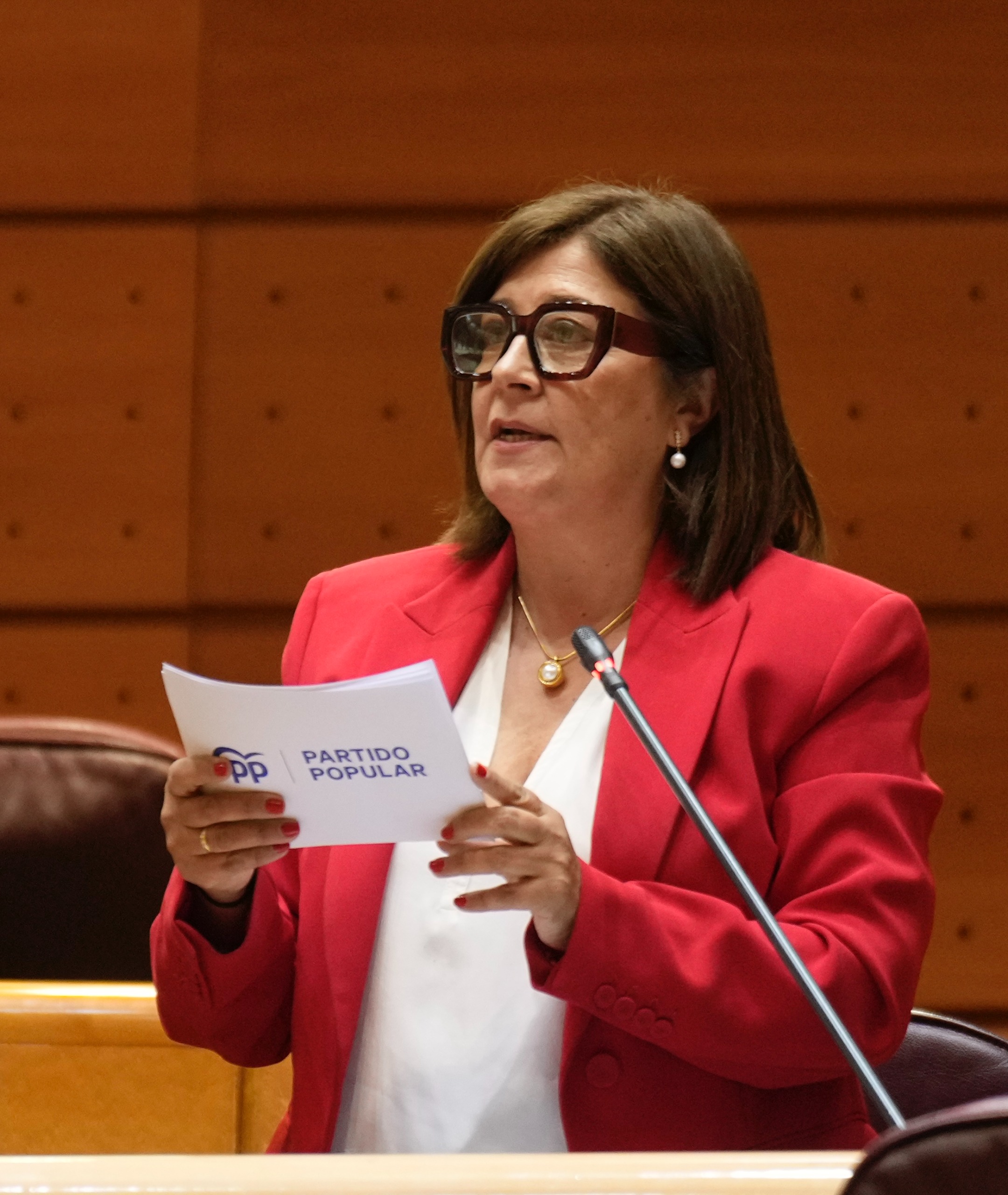 Senadora Rosa Sánchez interpelación Puente