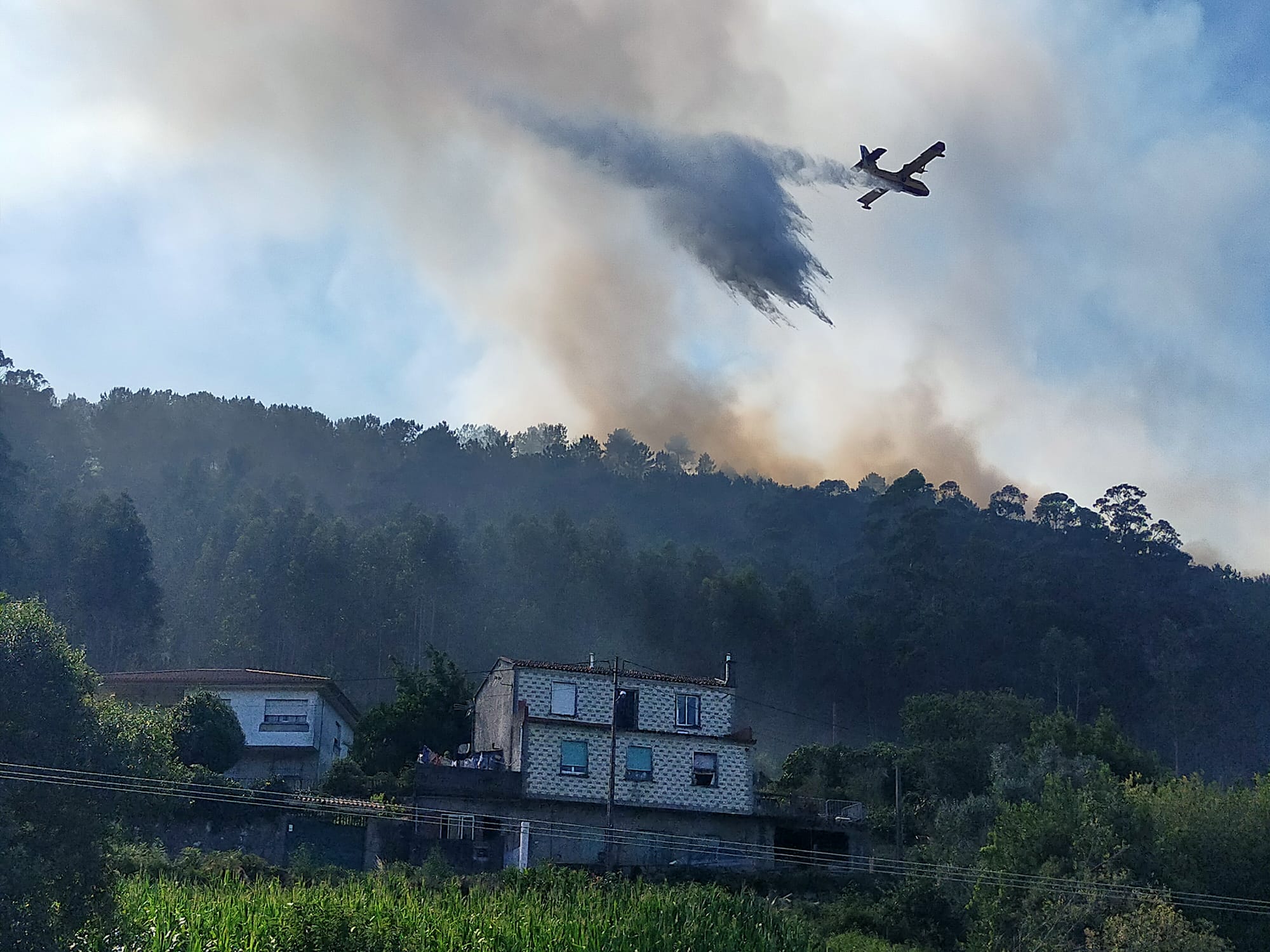 WhatsApp Image 2025-09-15 at 11.34.40