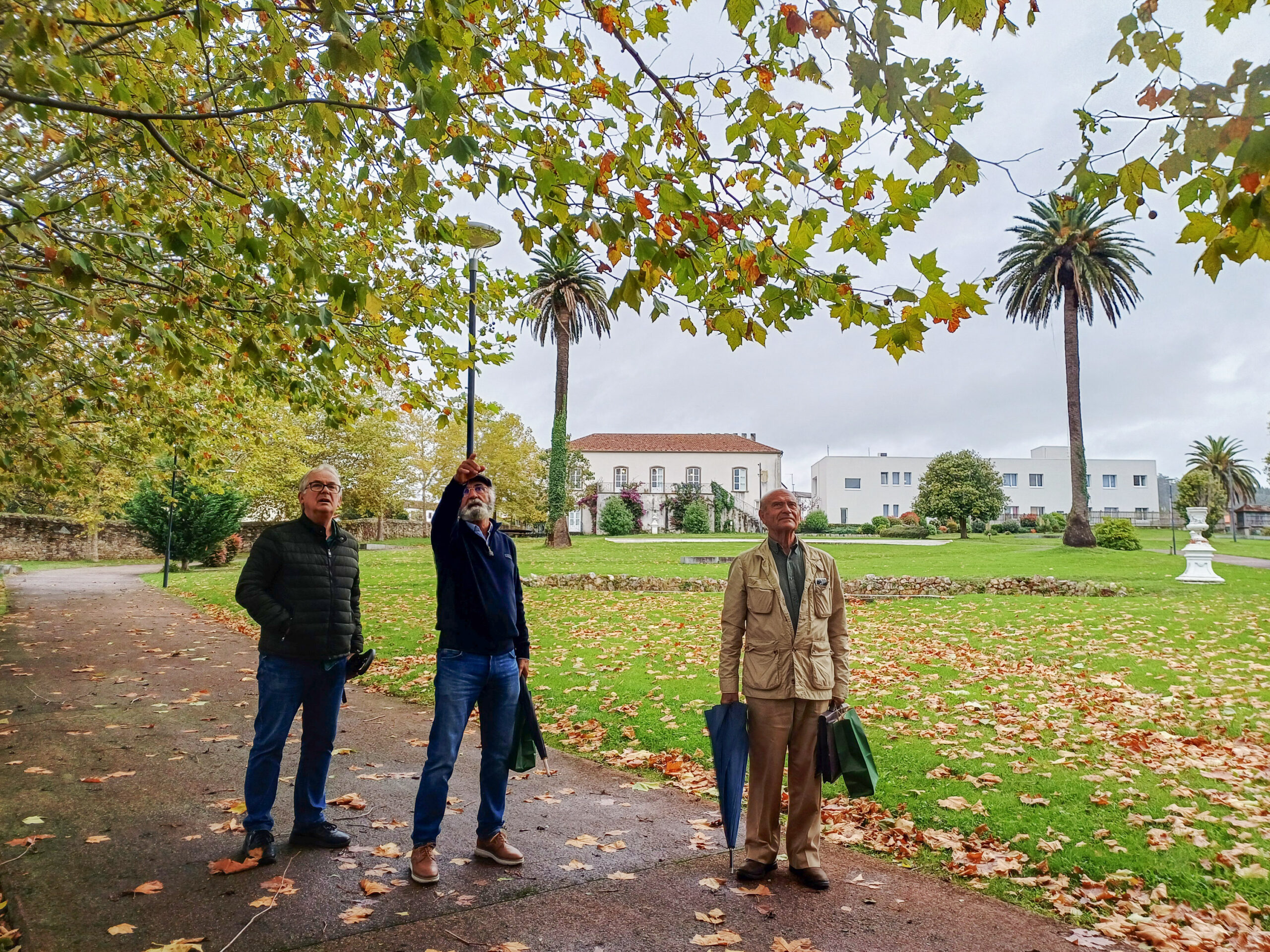 20251022_103054_Original ratio_3000x2250_H_120