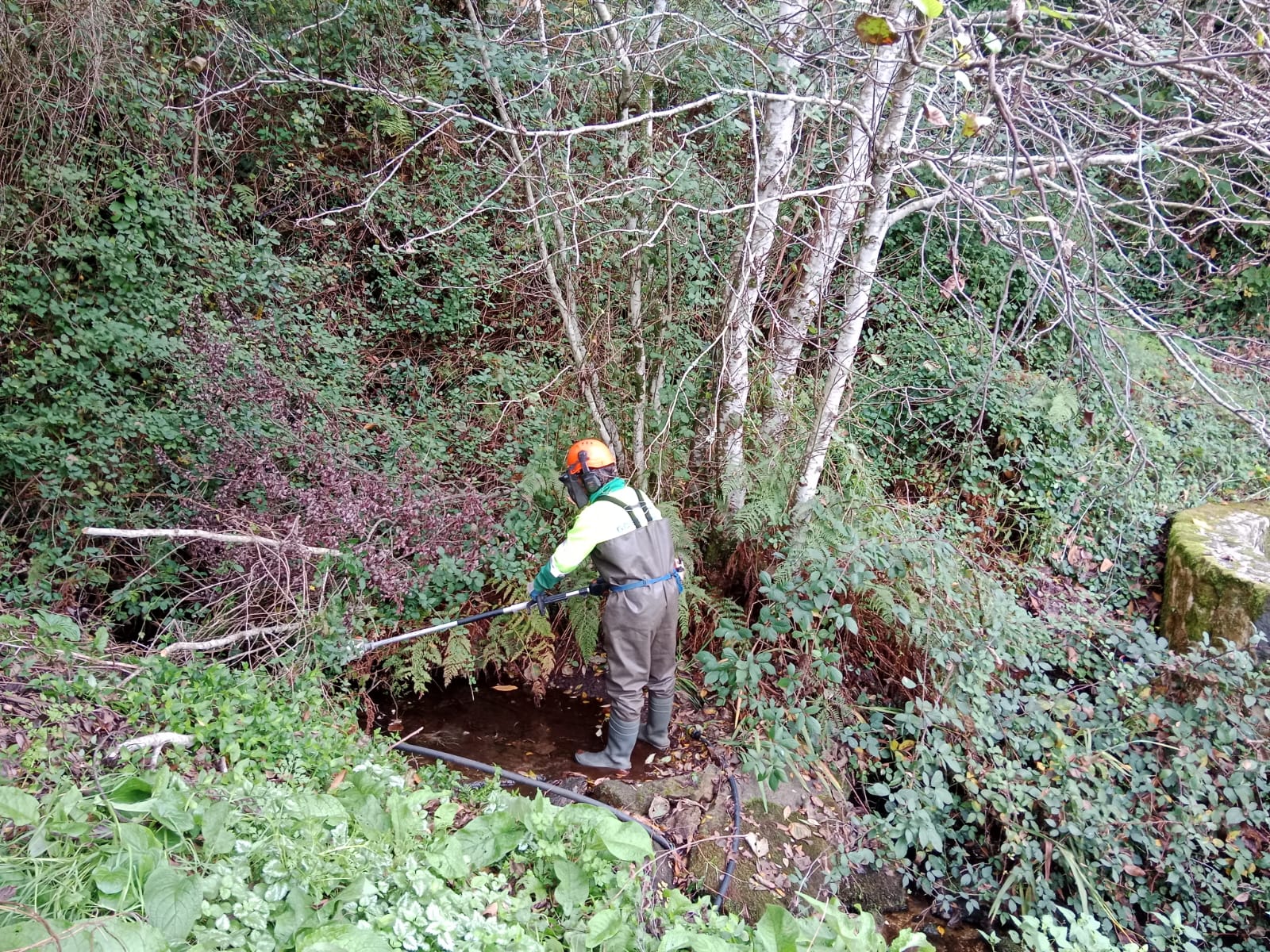 20251030 ConservacionFluvialBueu2