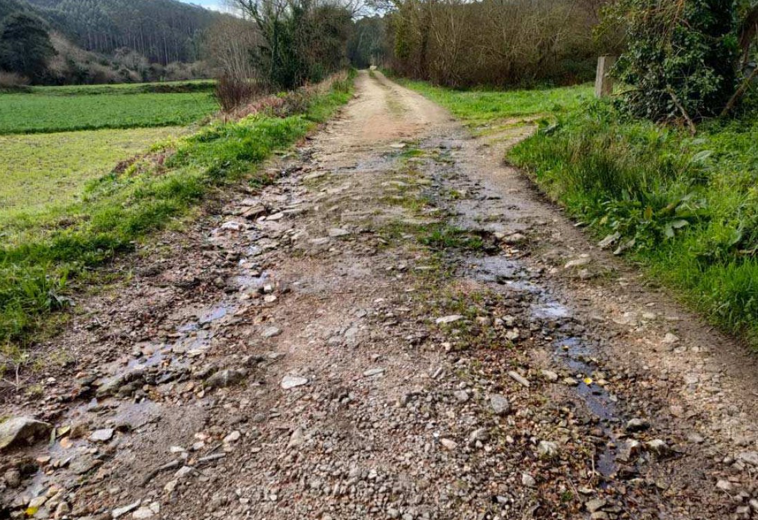 766786bb-4811-44be-a076-de4b176609ee