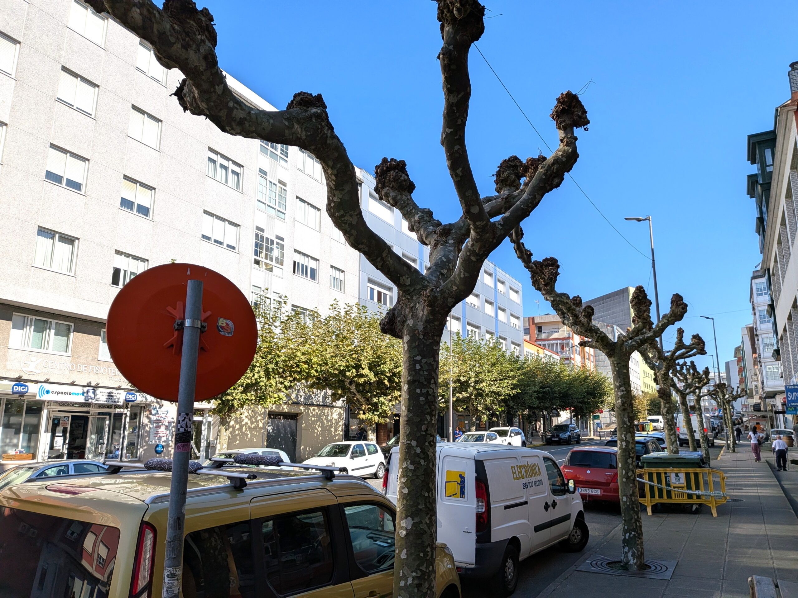 Concello Fene – Poda