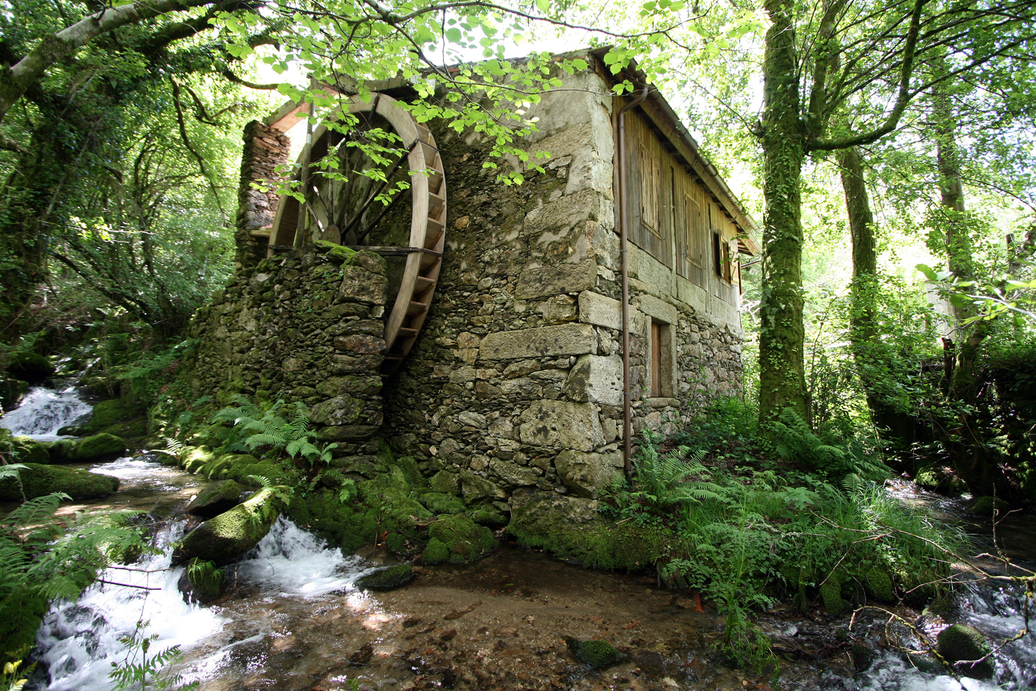 EXTERIOR ASERRADERO CARRANOS