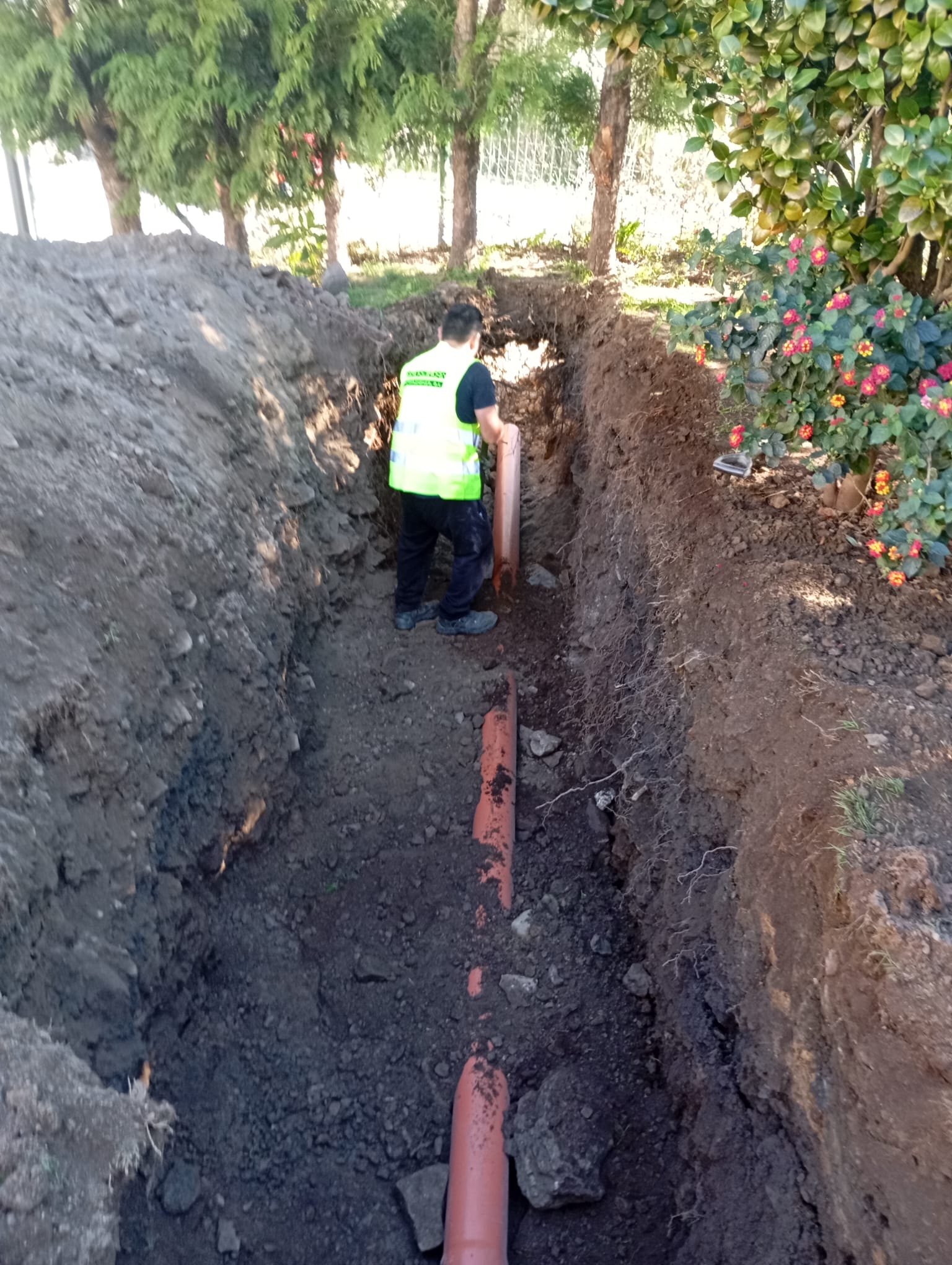 Imagen de WhatsApp 2025-10-11 a las 13.38.21_19285239