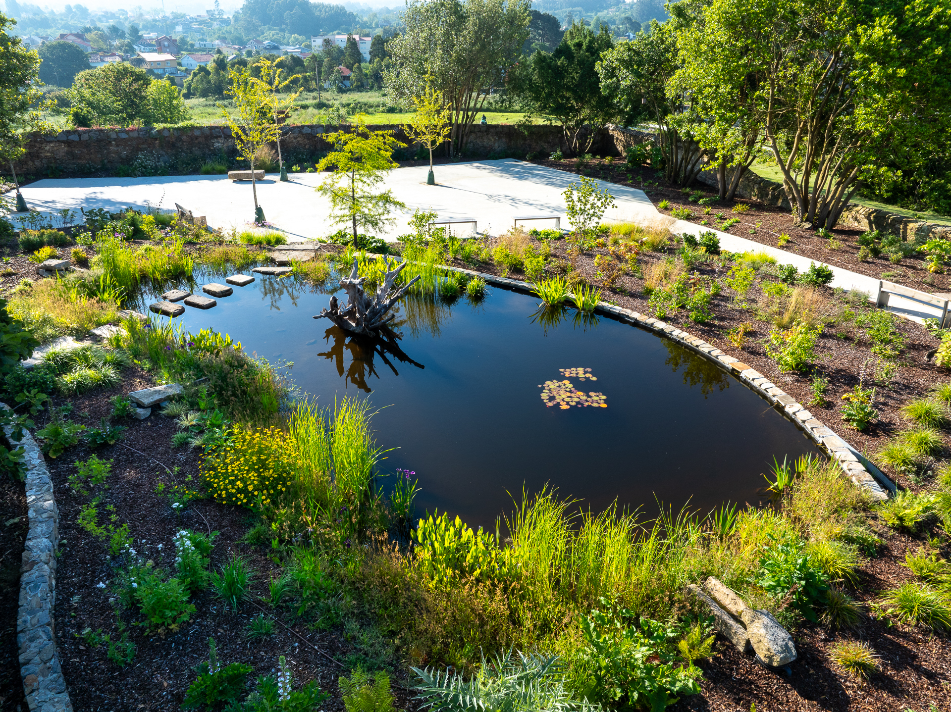Joaquín Barreiro Cajaraville