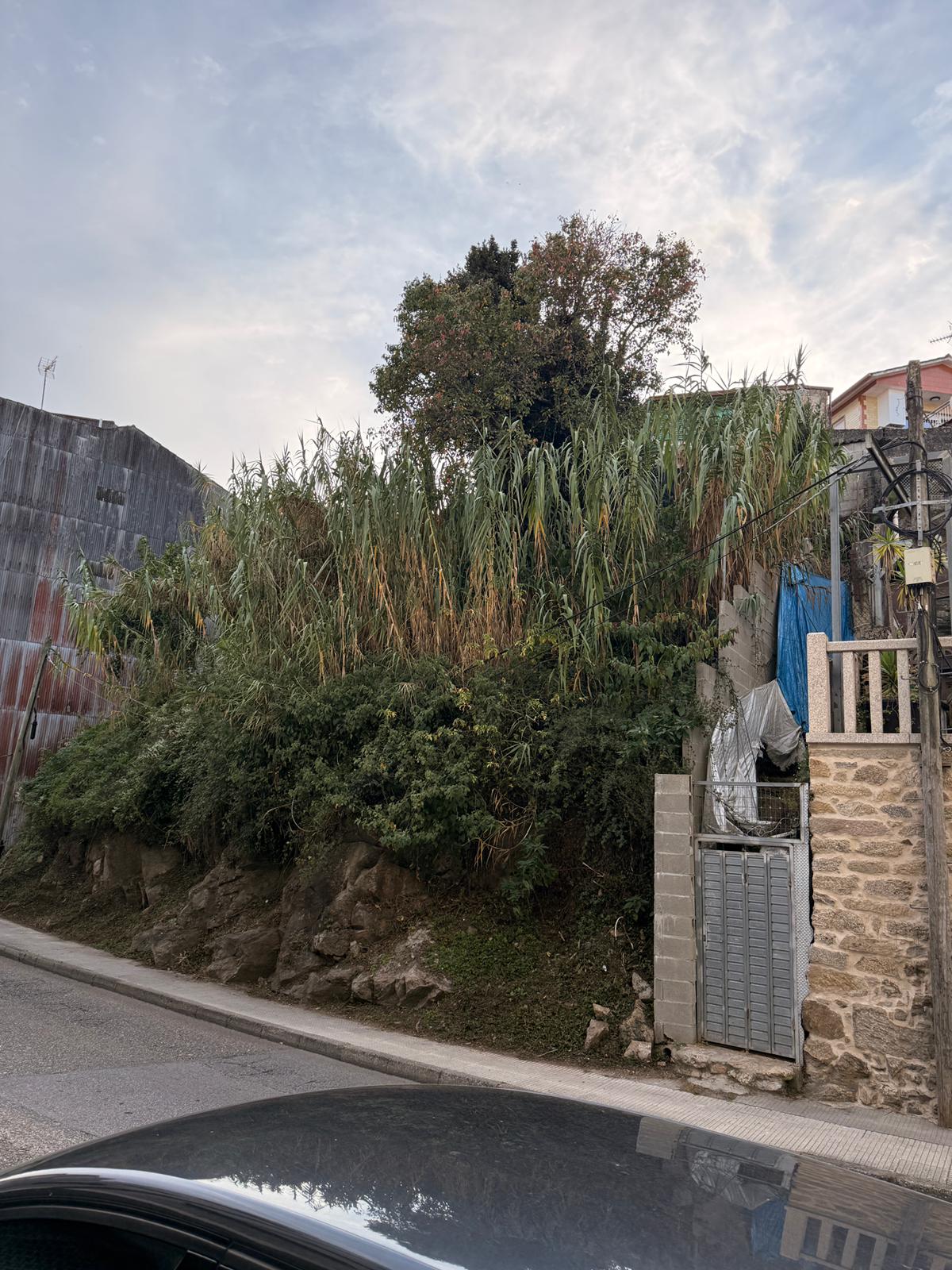 WhatsApp Image 2025-10-10 at 09.12.06