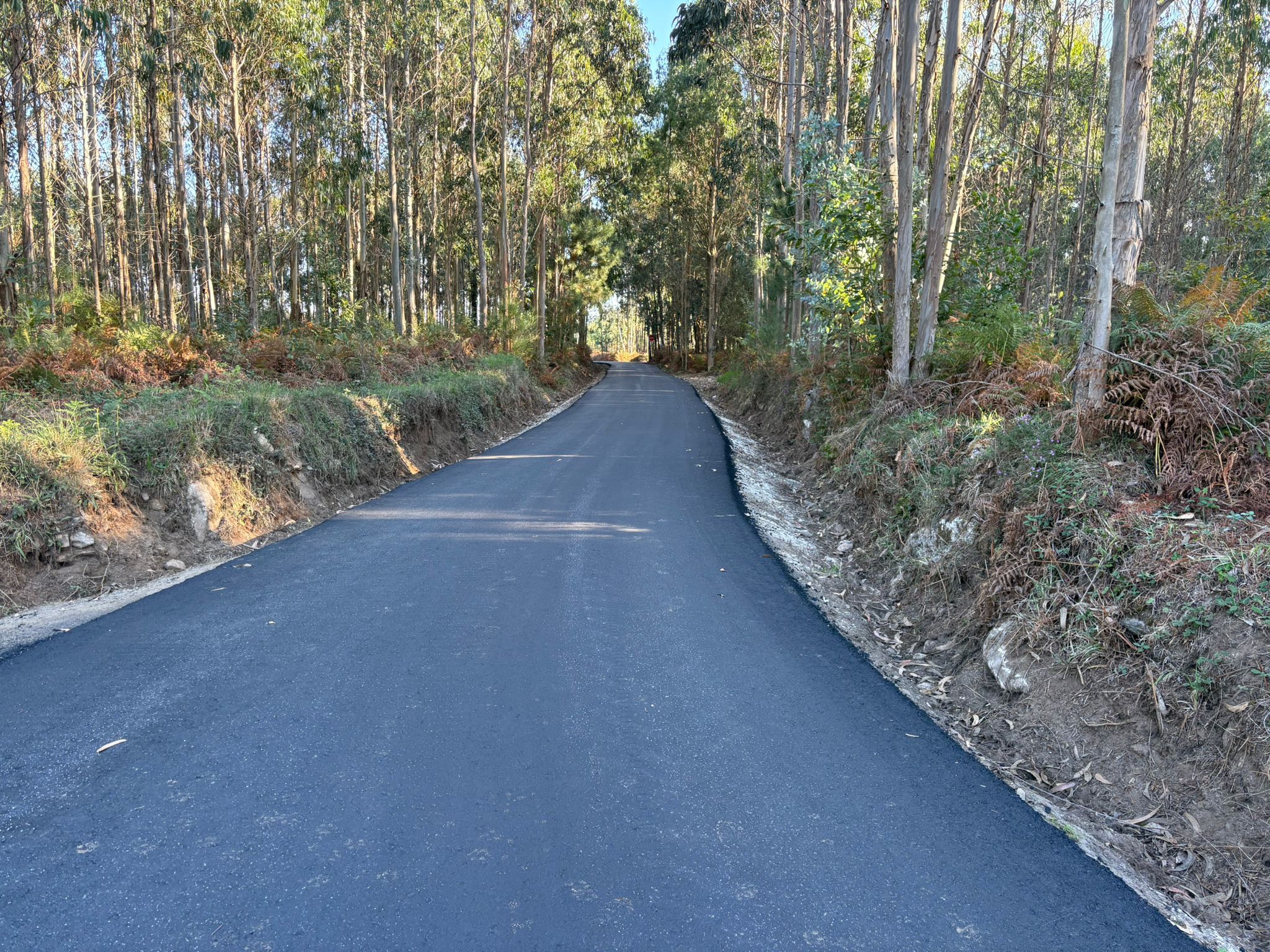 WhatsApp Image 2025-10-25 at 14.46.07 (2)