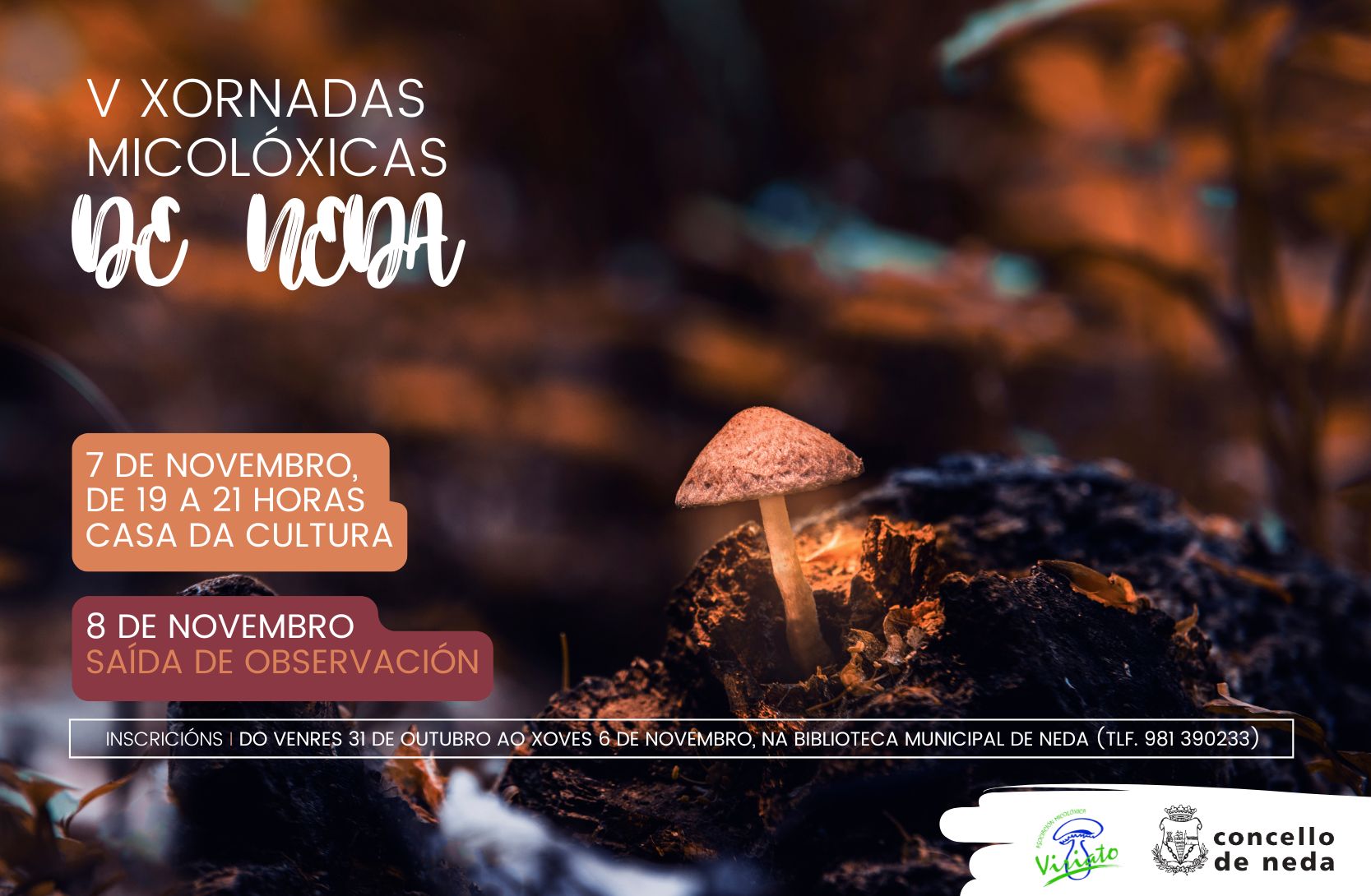 cartel Xornadas micolóxicas horizontal