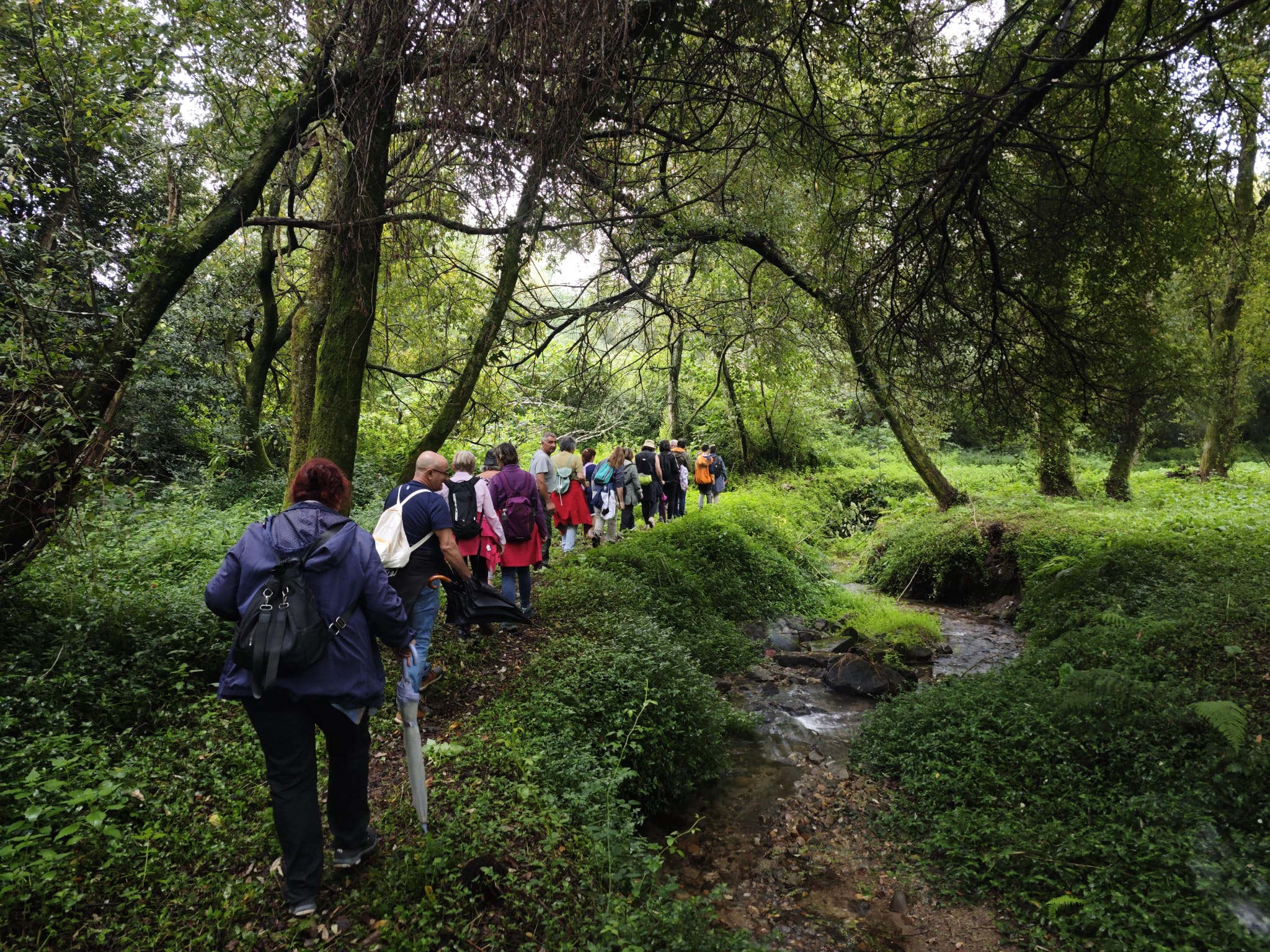 ruta ambiental roteiro río pexegueiro