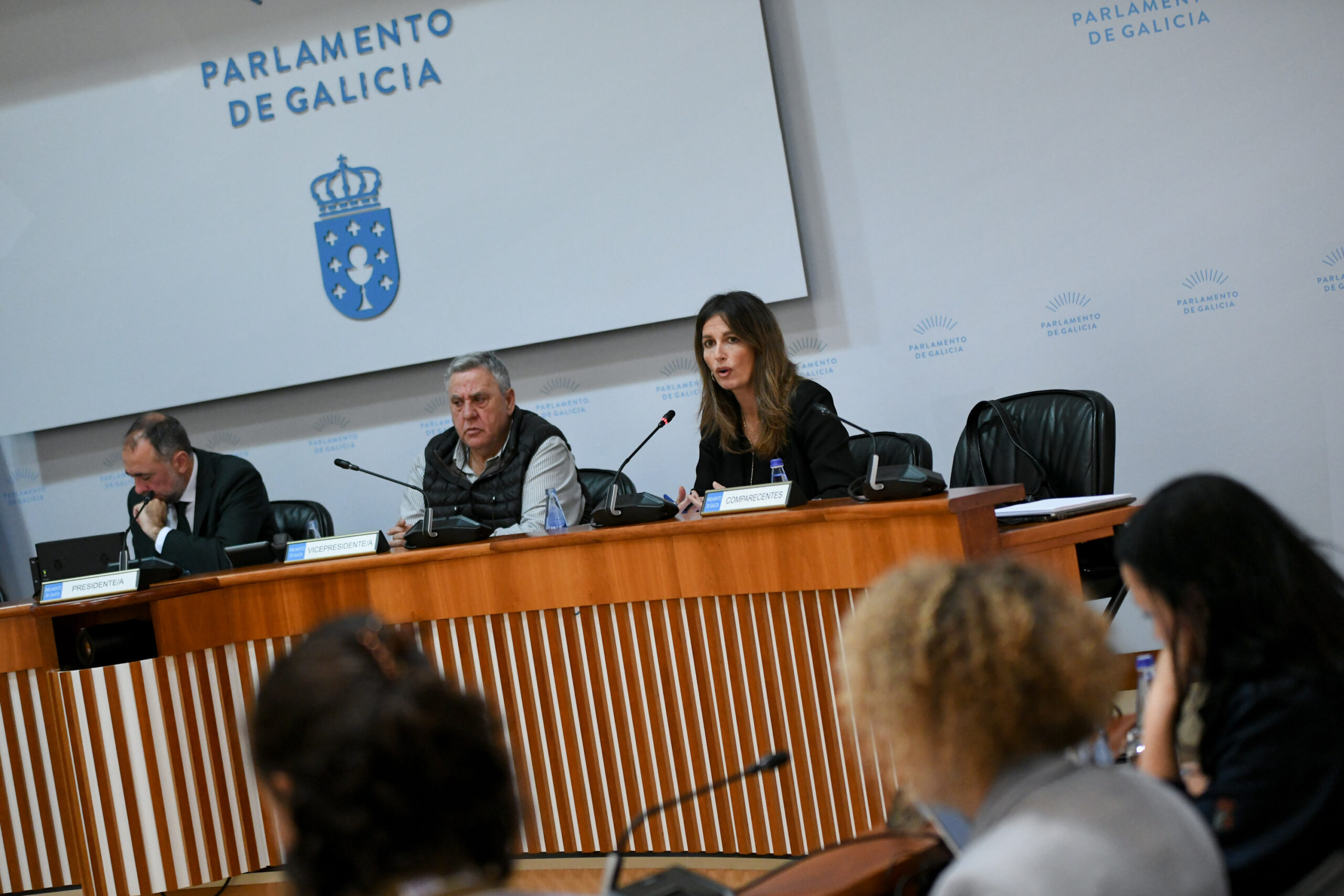 2051107DXALParlamentoVelutinas (2)