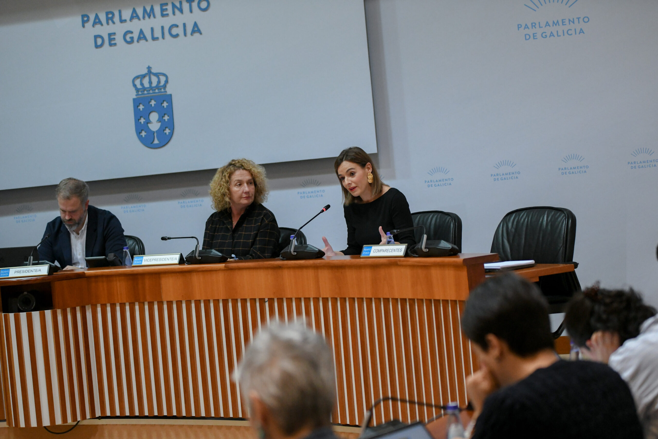 2051112DXMParlamentoTransporteIESTerraXallas (4)