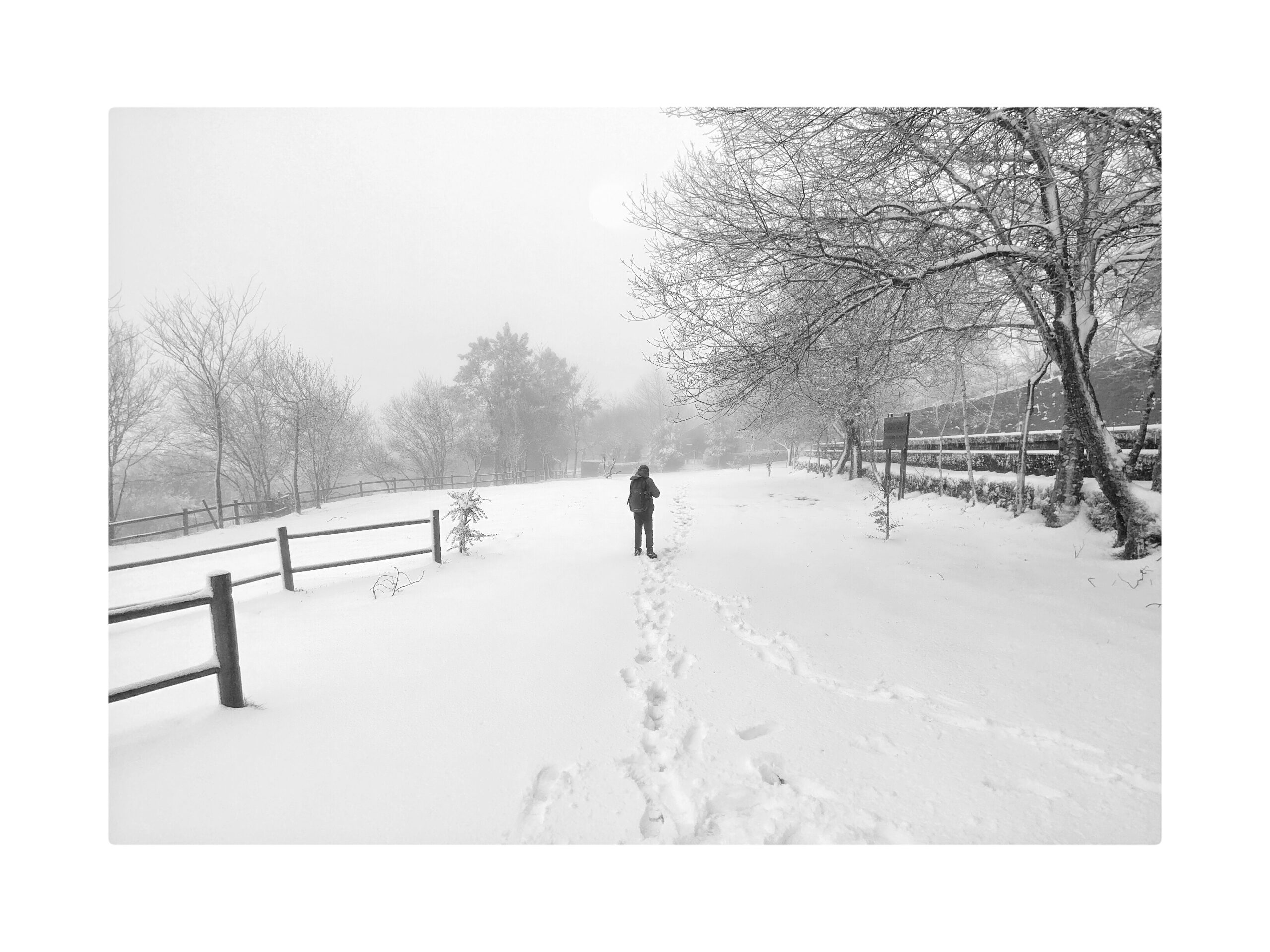 C – 30 CAMIÑANDO POLA NEVE (concurso foto)