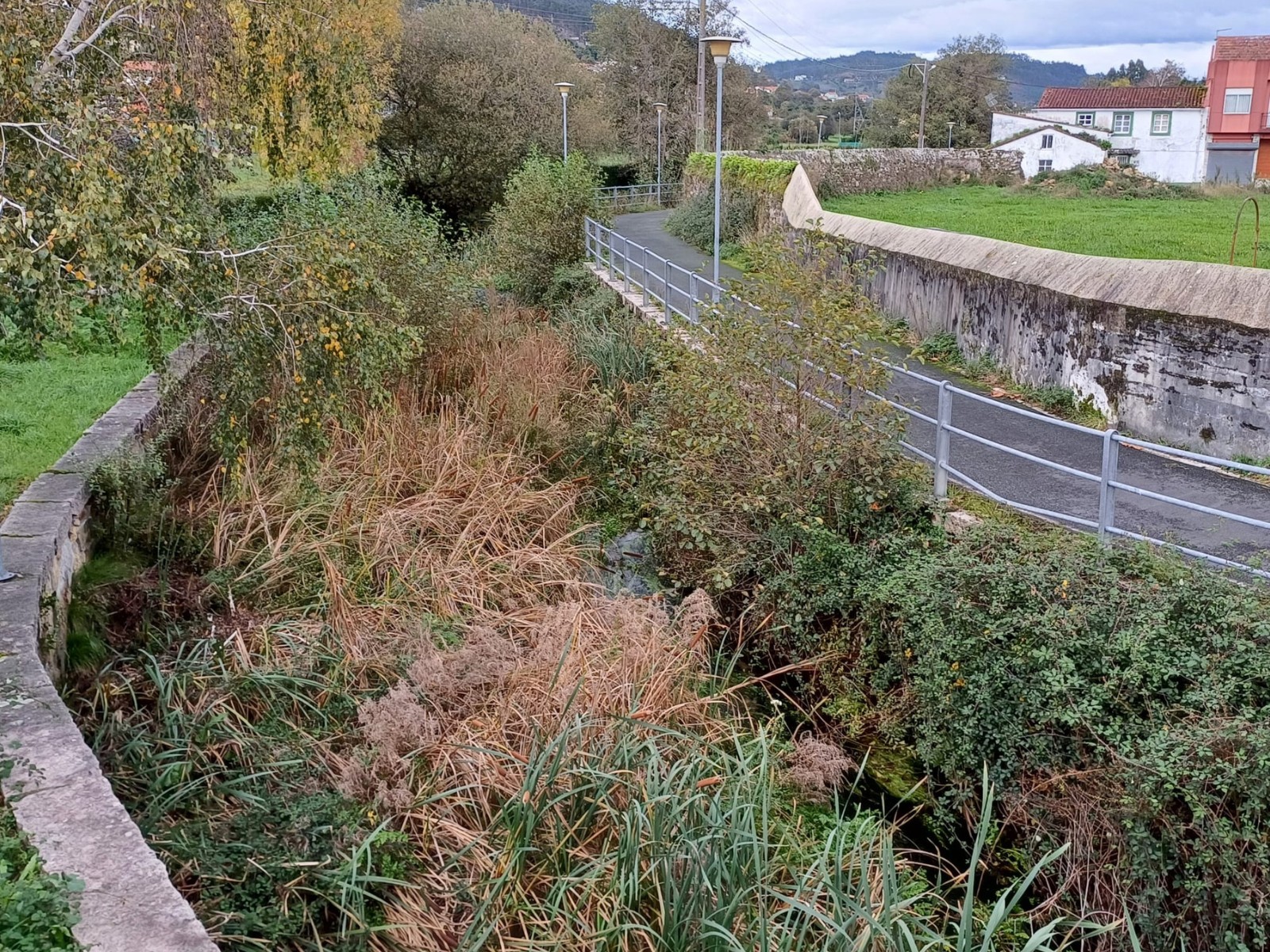 Estado del río Basteiro