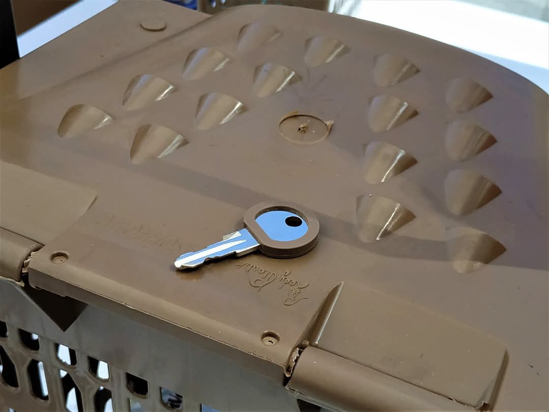 FB_IMG_1738190737712