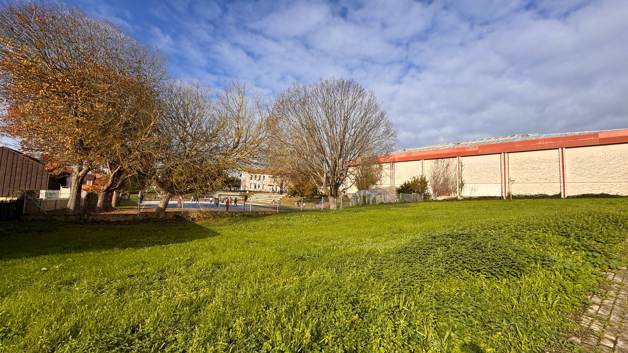 WhatsApp Image 2025-11-18 at 11.59.37