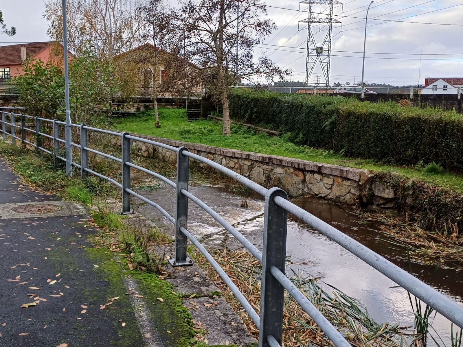 retirada vexetación Basteiro 3